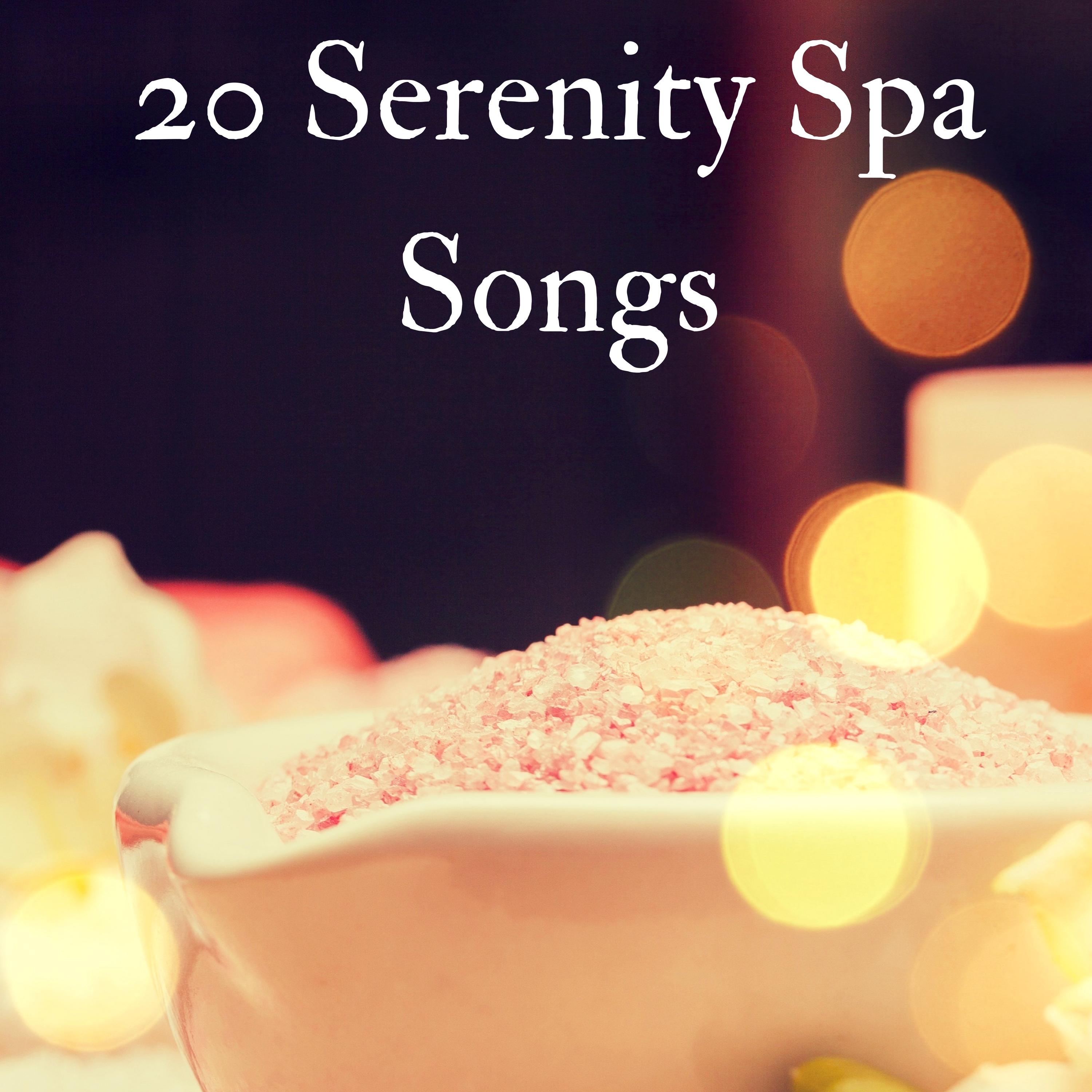 20 Serenity Spa Songs - The Best Massage Music of 2017, Calming Background Sounds of Nature