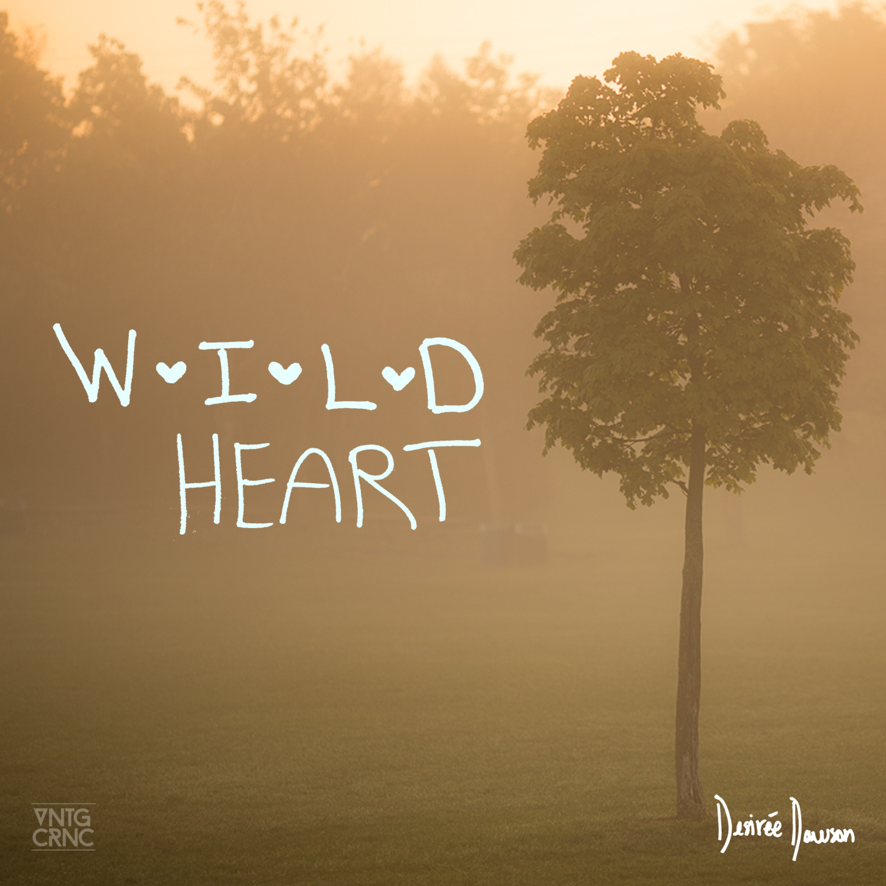 Wild Heart