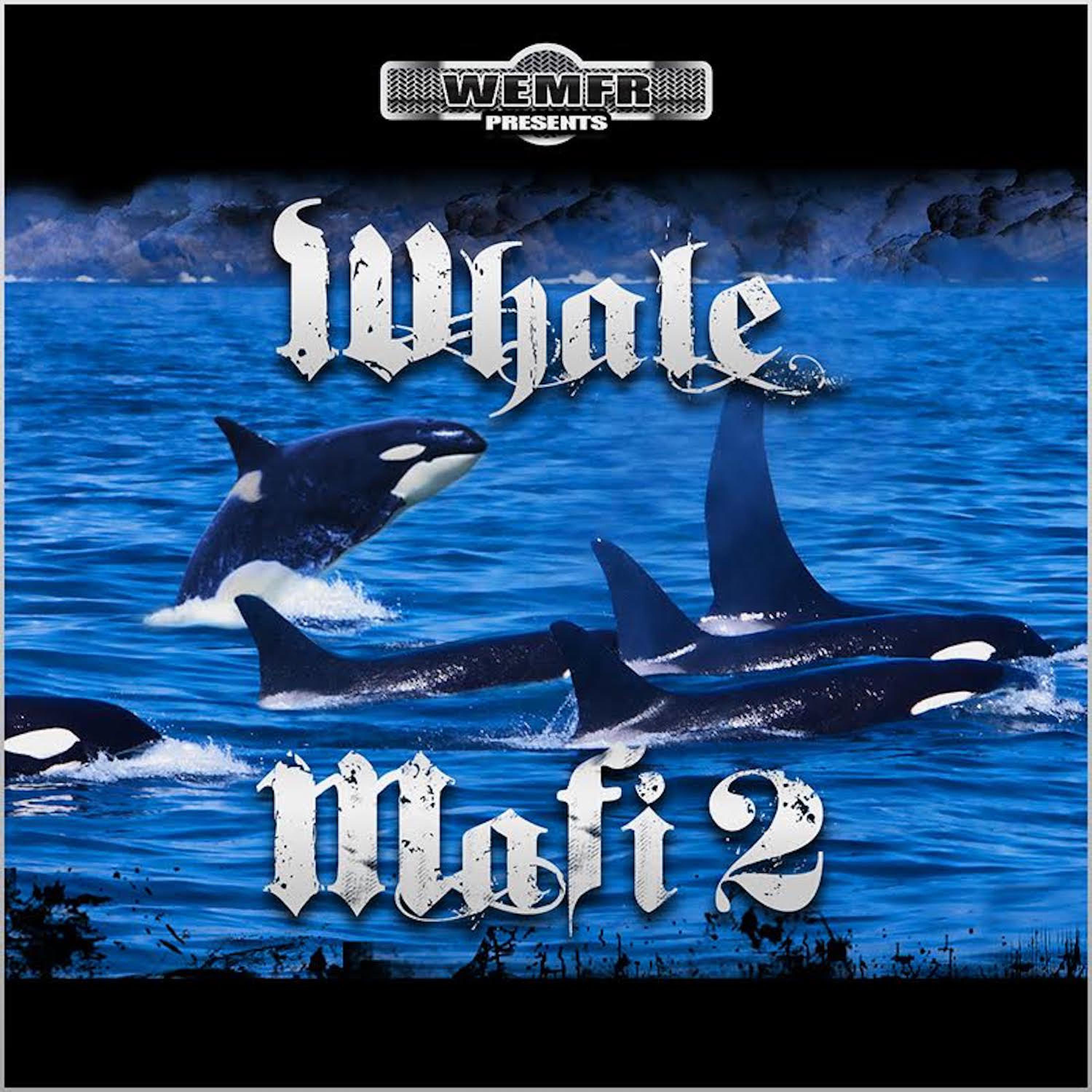 Whale Mafi 2