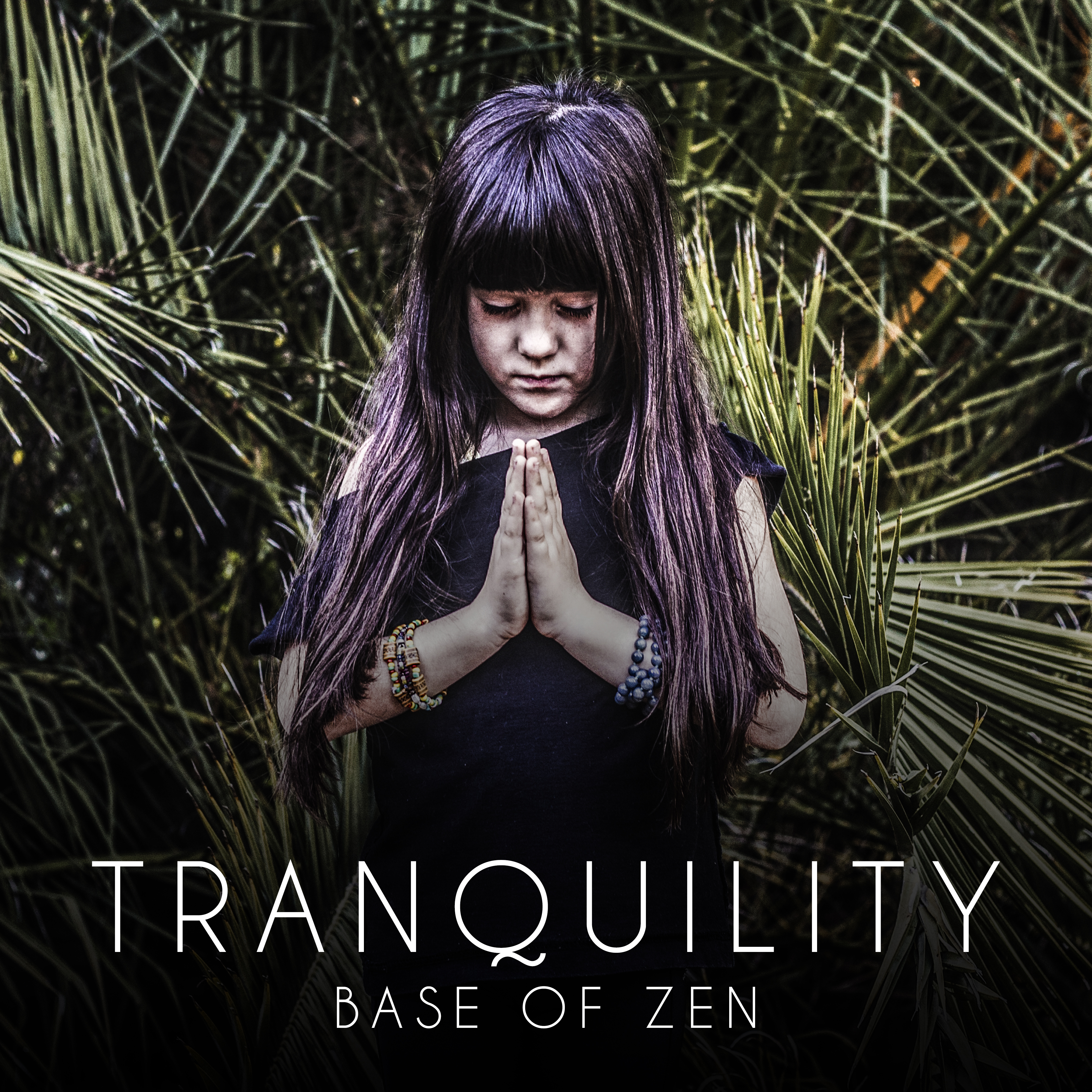 Tranquility Base of Zen