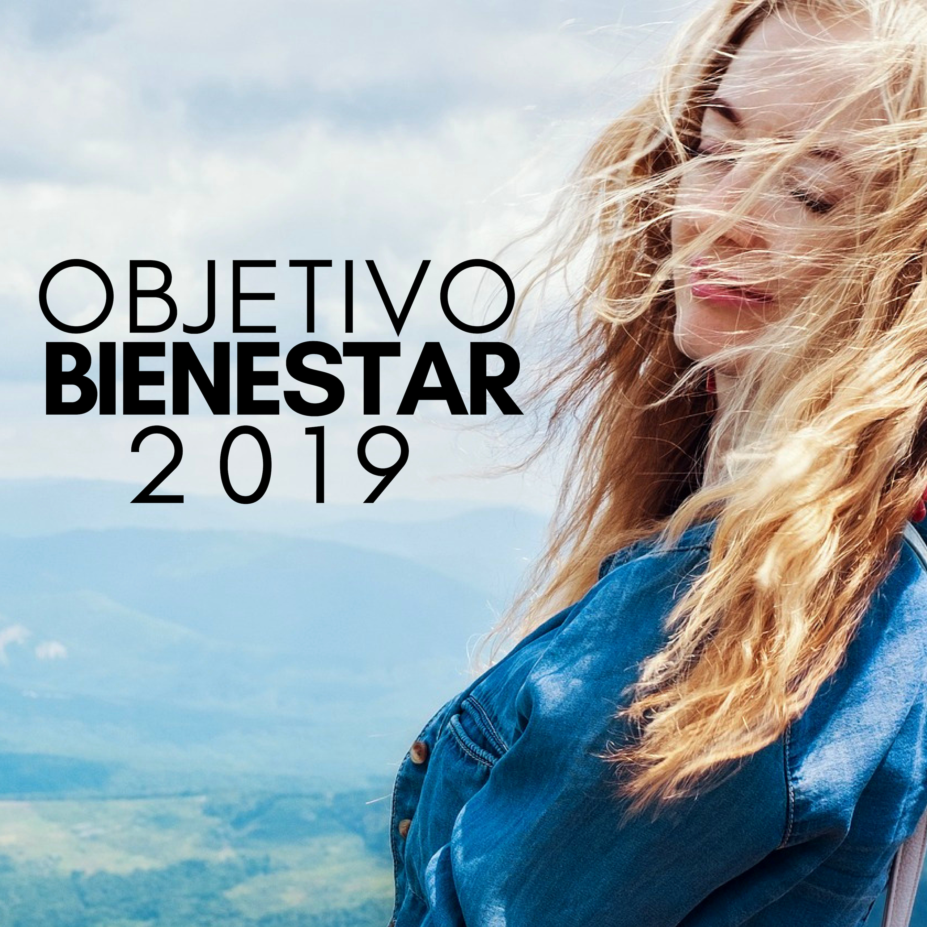 Objetivo Bienestar