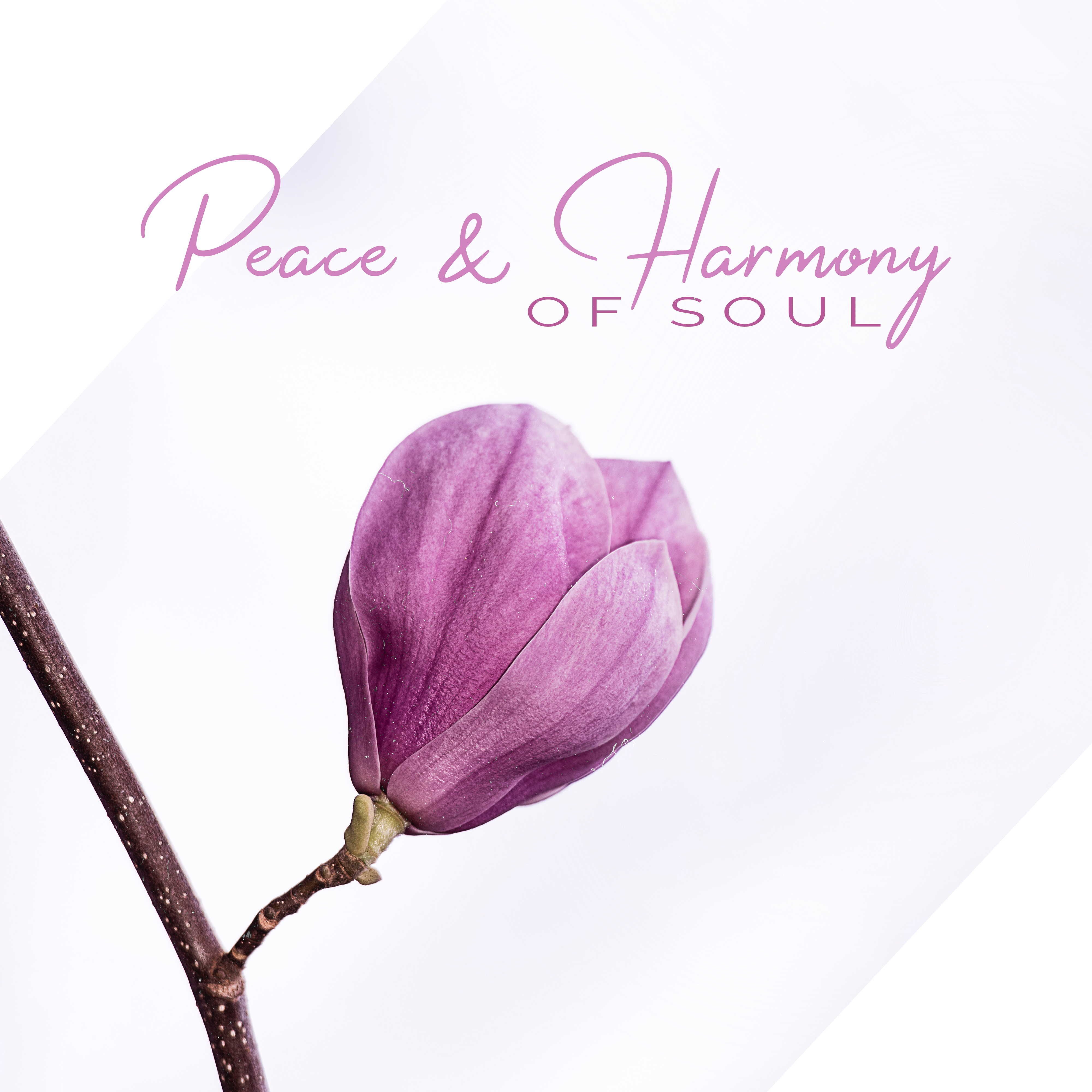 Peace & Harmony of Soul – New Age Meditation Music Compilation
