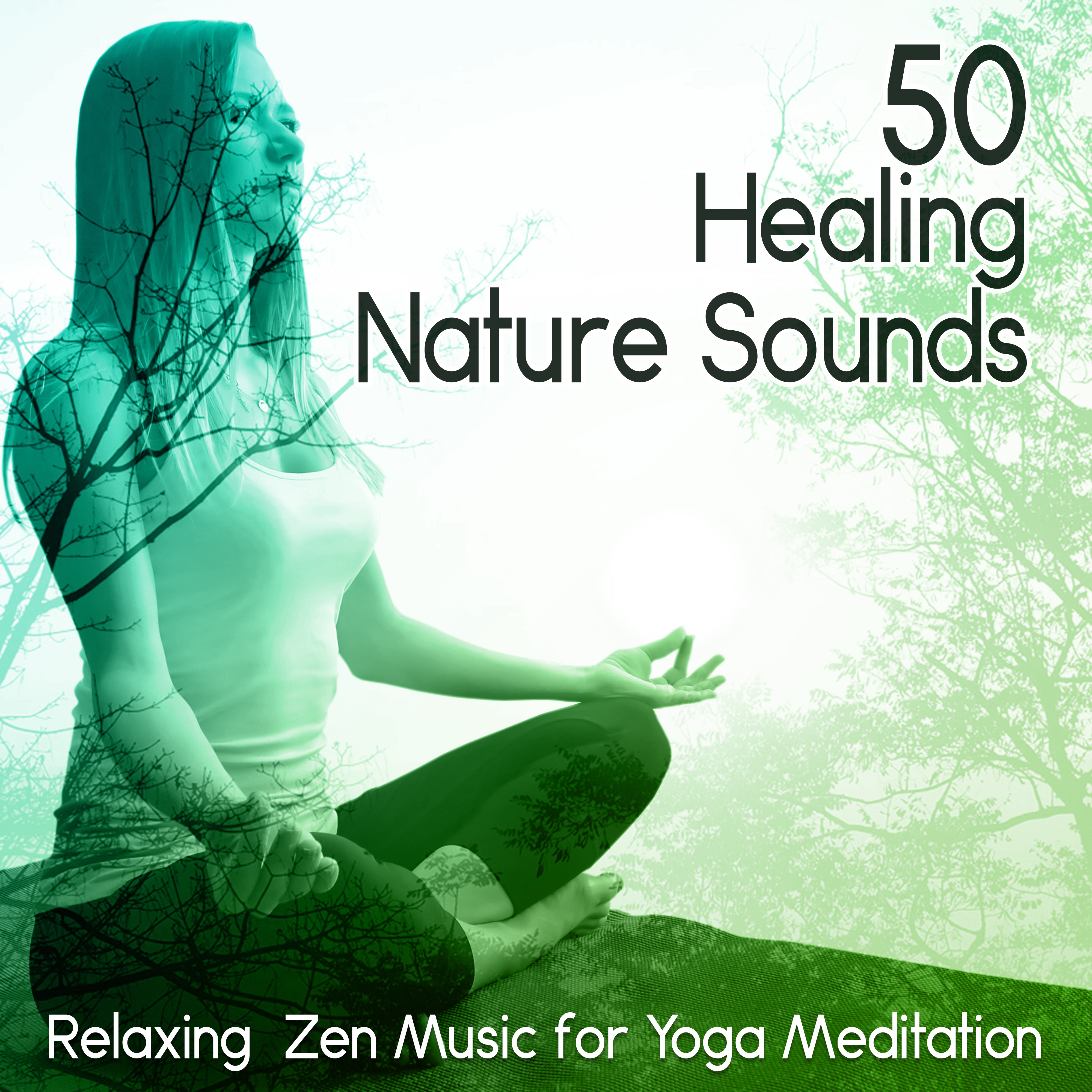 Healing Nature Sounds