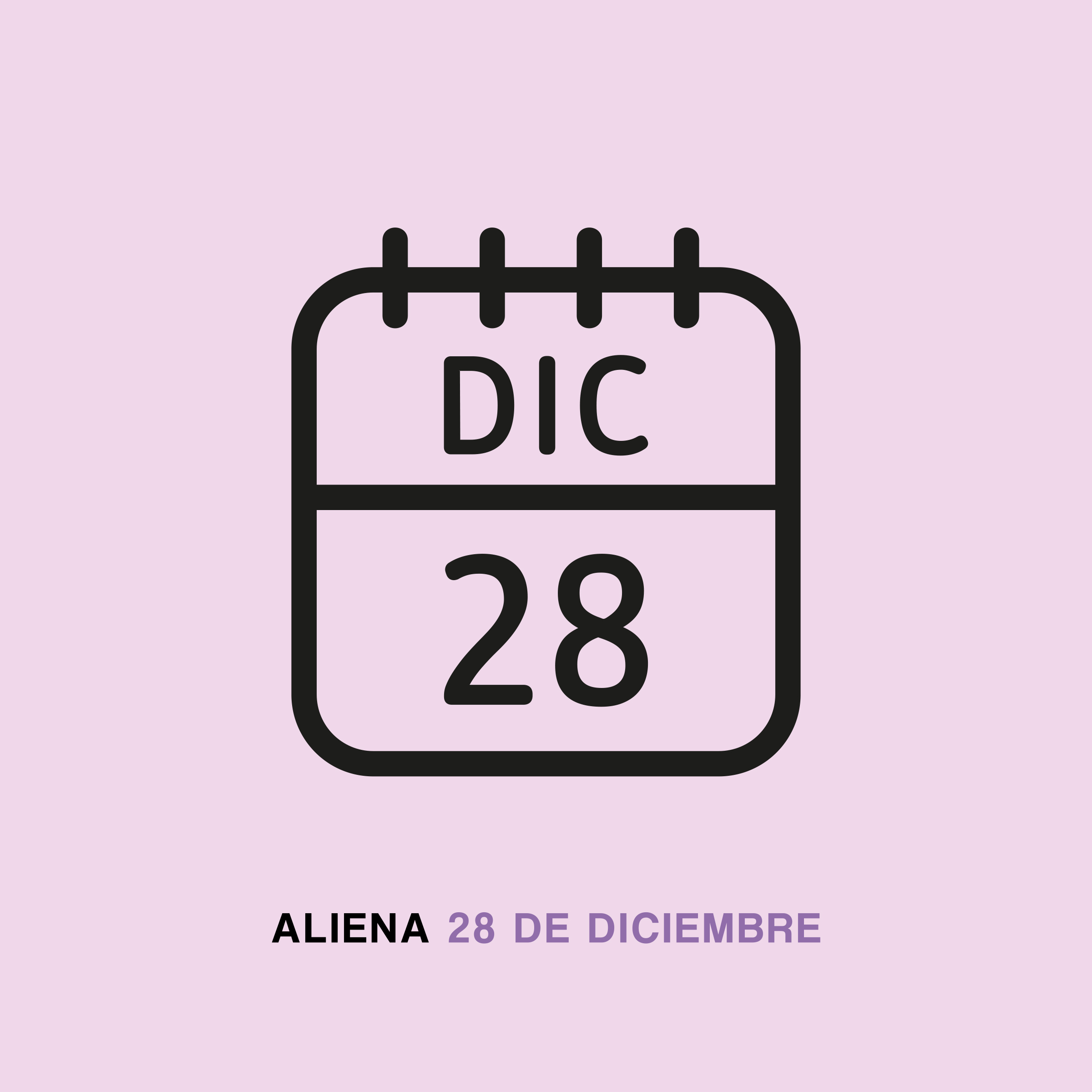 28 de Diciembre