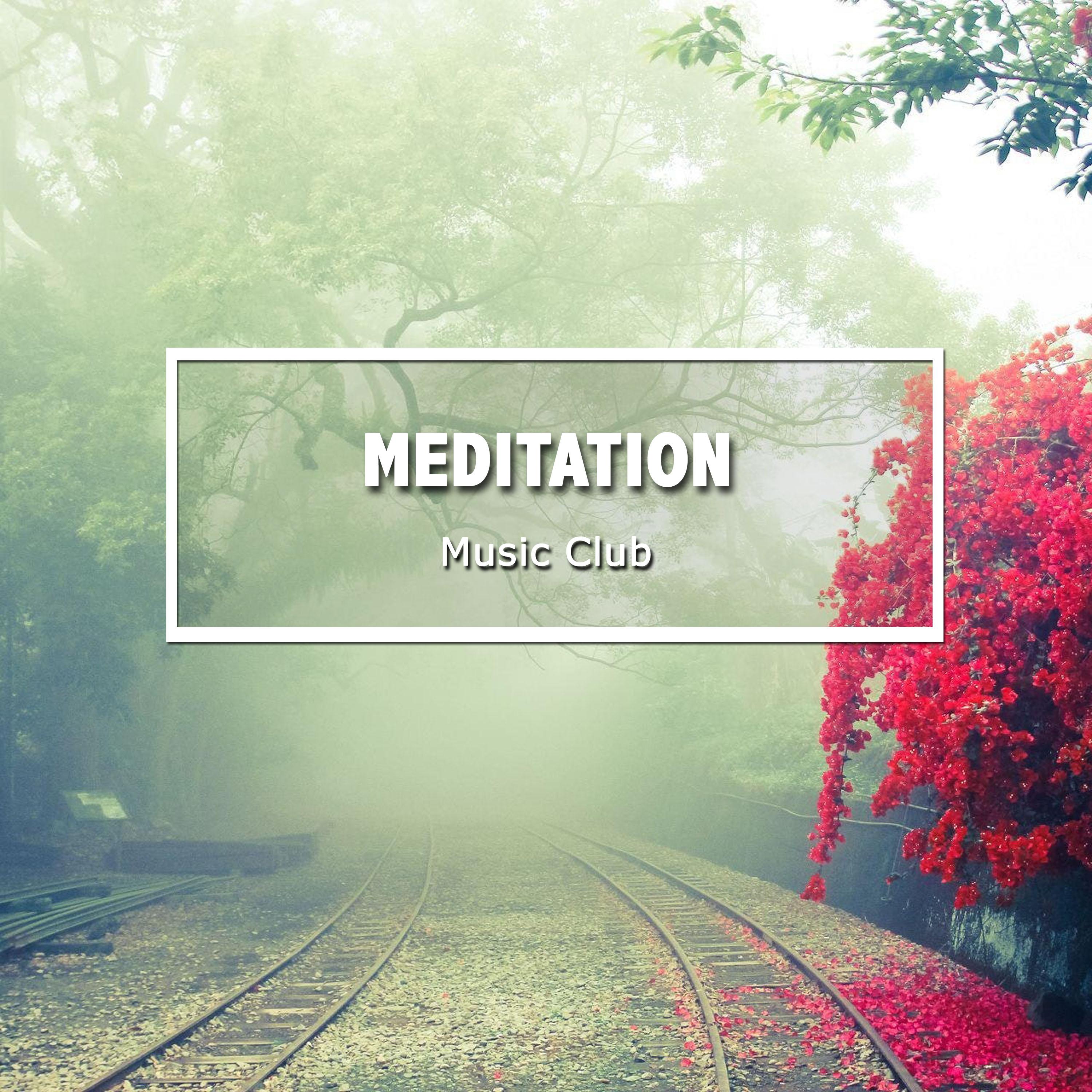 19 Tracks from Meditation Music Club