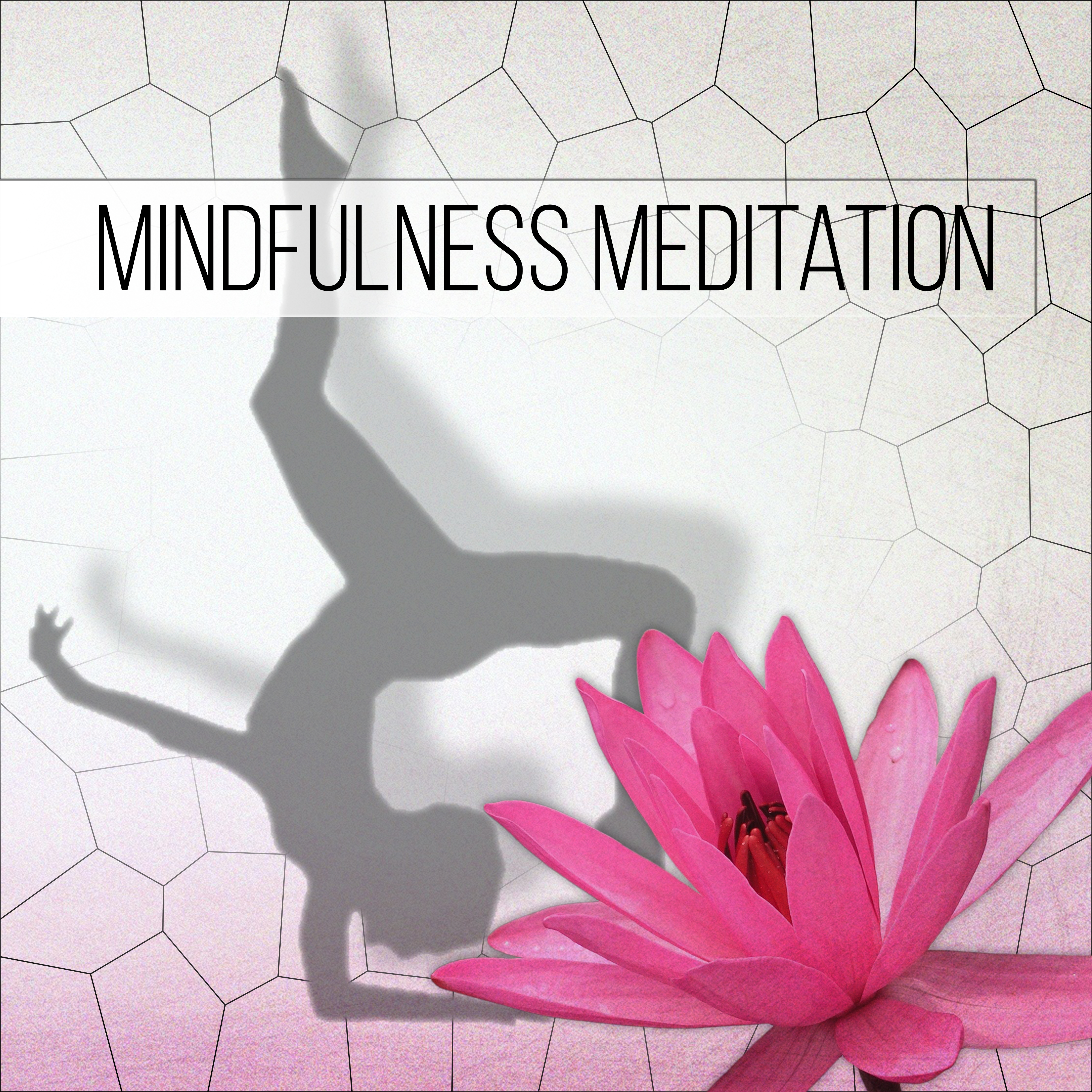 Mindfulness Meditation - Healing Meditation Music, Relaxing Nature Sounds for Massage, Spa, Yoga Music Therapy