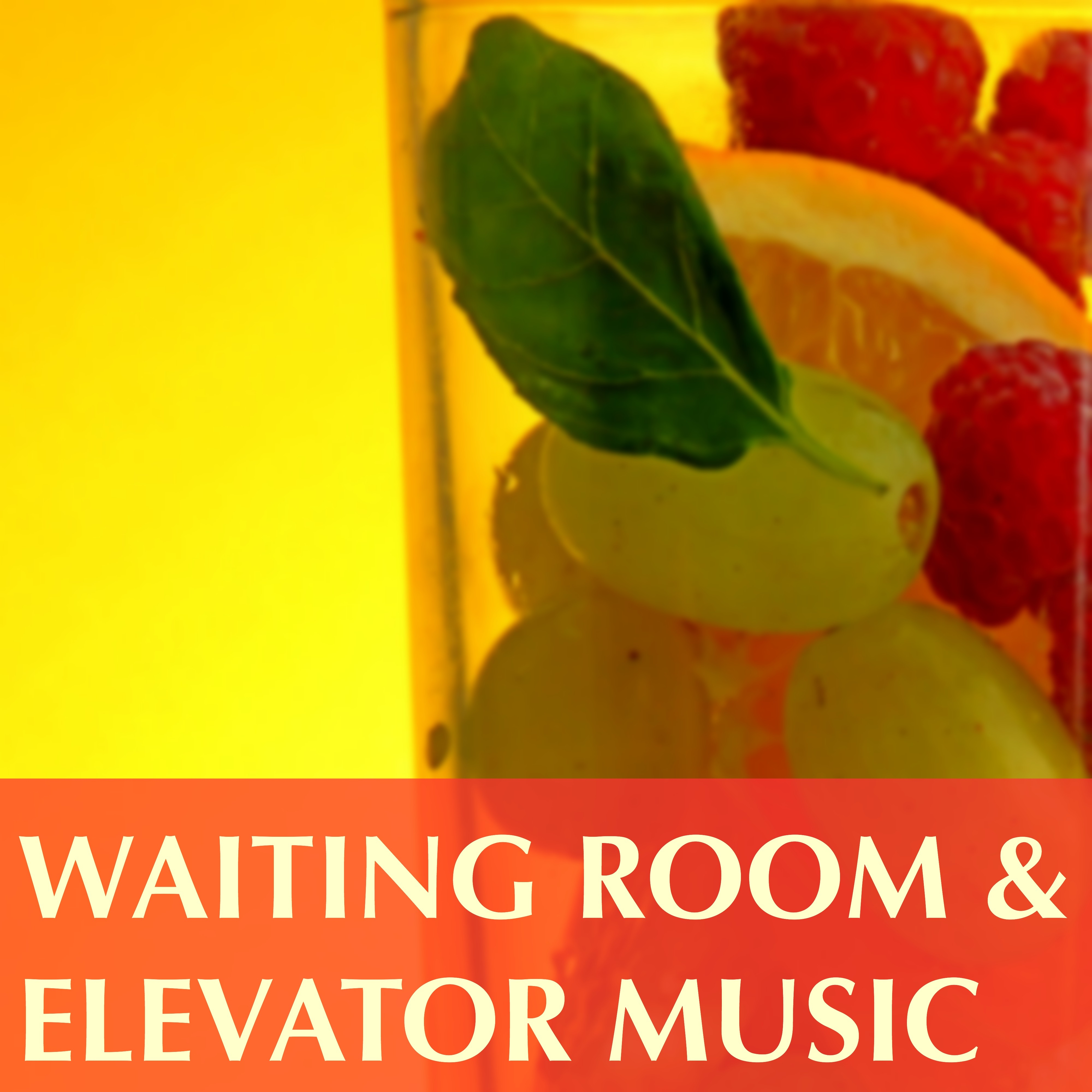 Waiting Room and Elevator Music - Background Calming Music Specialists to Take a Break and Just Relax