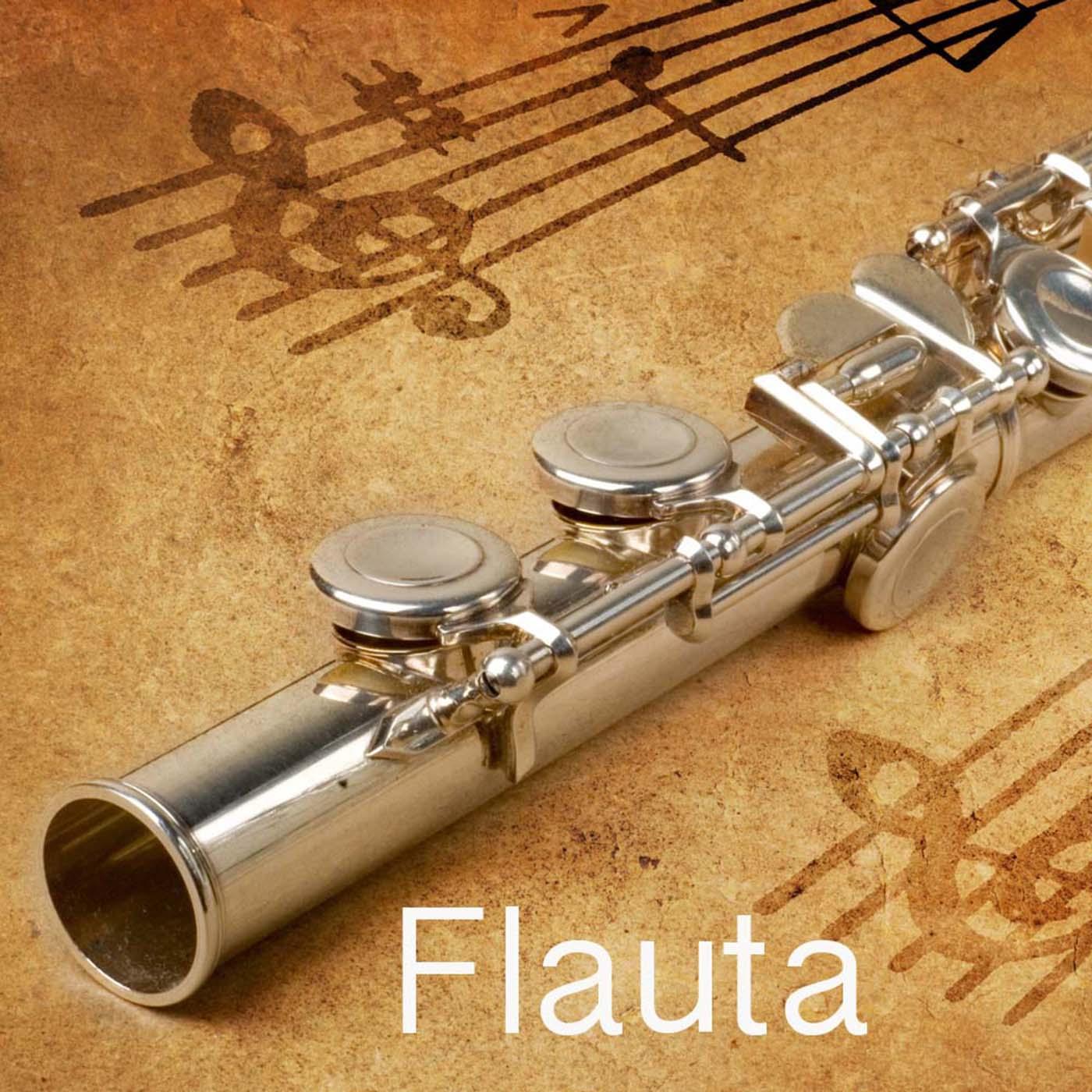 Sonata No. 18 in G Major, Op. 78, D. 894 "Fantasy": IV. Allegretto