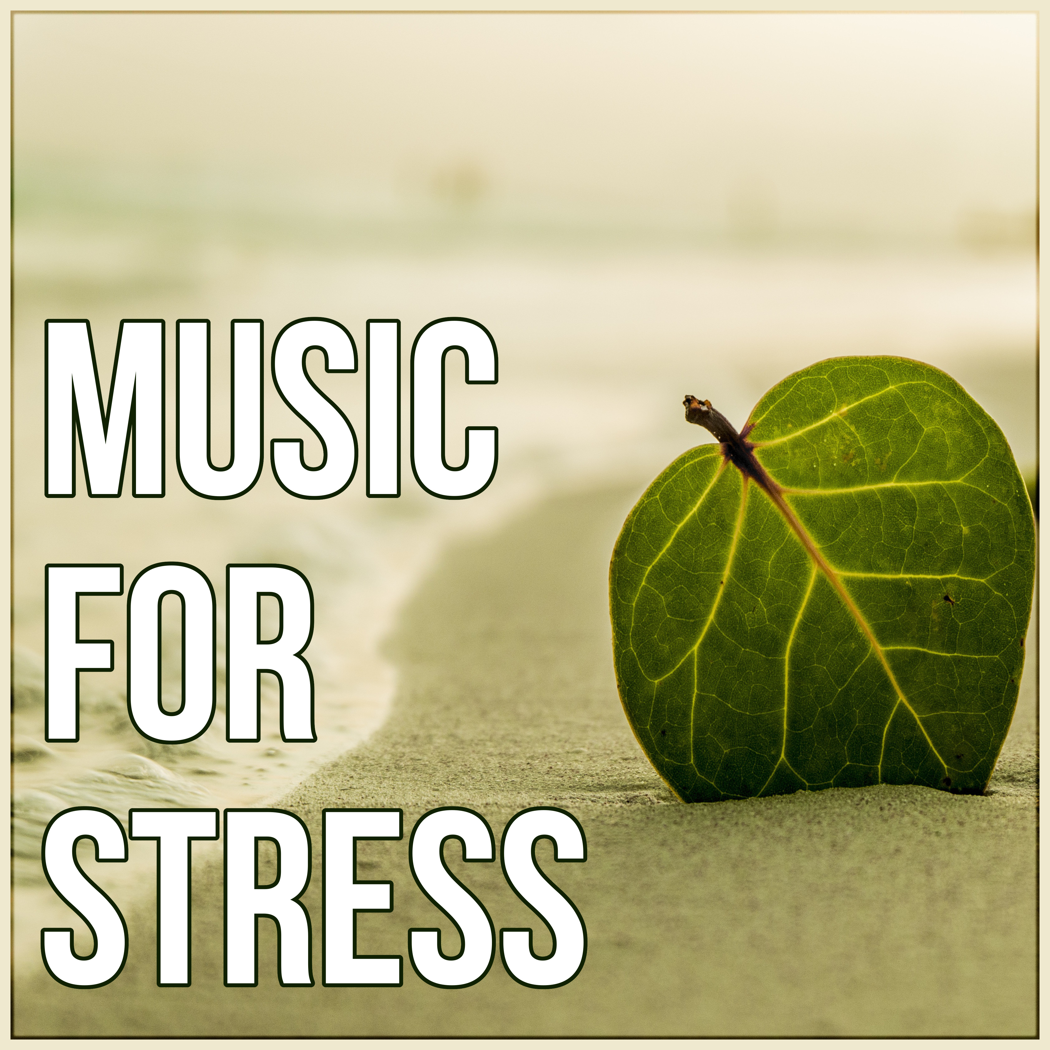 Music for Stress Relief - Relax, Background Music, Relaxation, Body Harmony, Calm Music