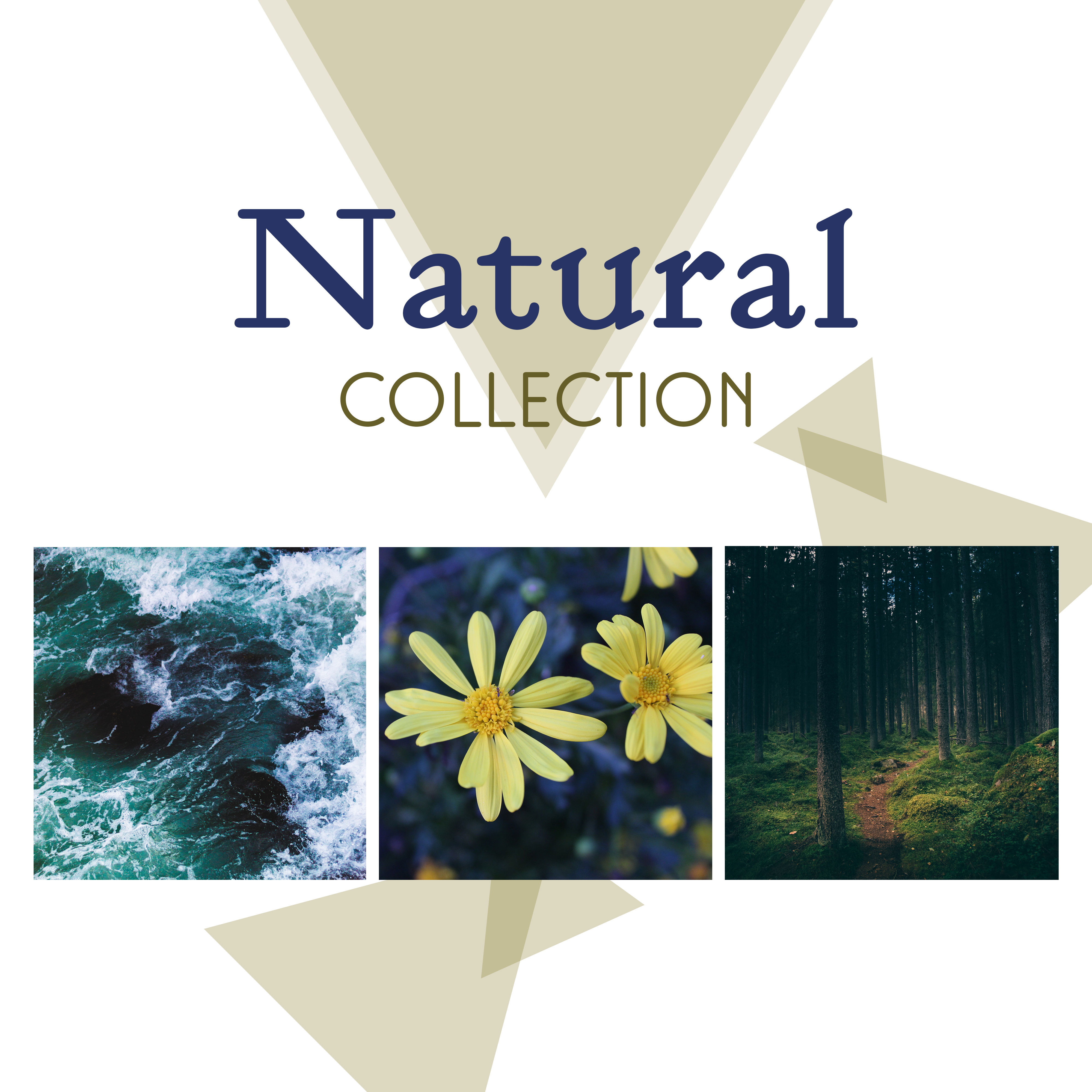 Natural Collection – Ultimate New Age Music, Peaceful Sounds of Nature, Green Garden, Zen, Rest, Relaxation