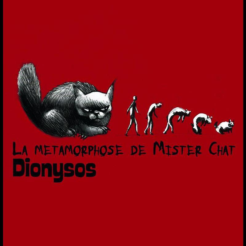 La Métamorphose De Mister Chat