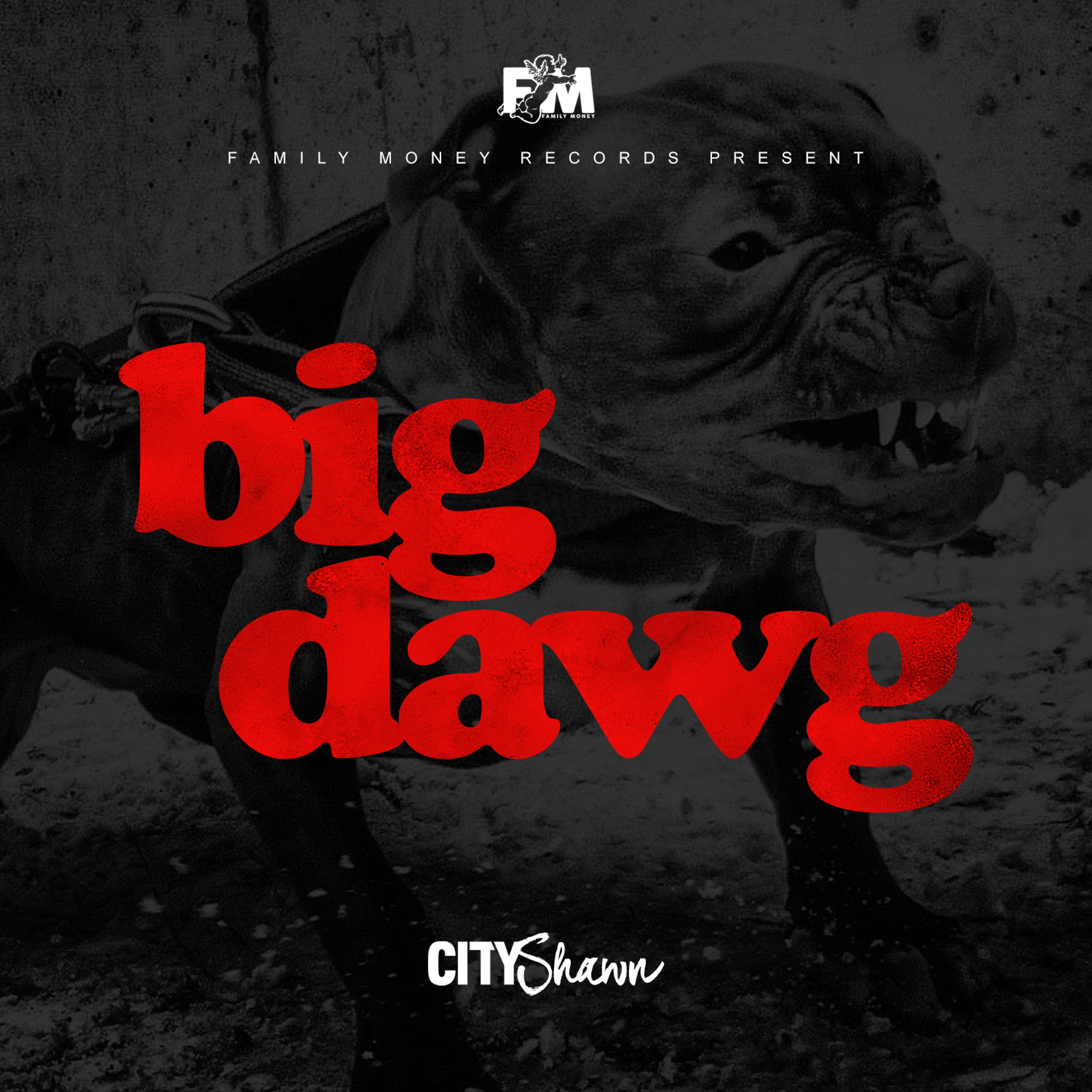 Big Dawg - Single