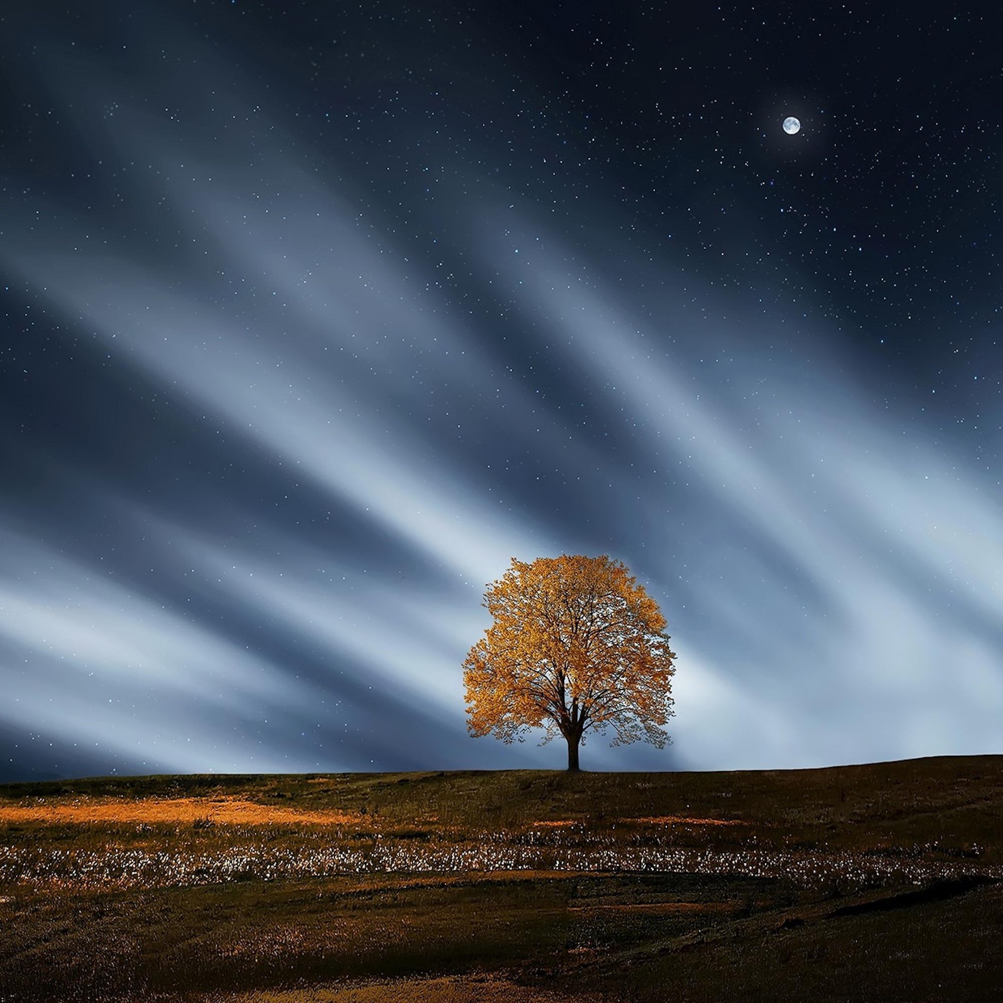 30 Melodías Relajantes De Paz Y La Tranquilidad