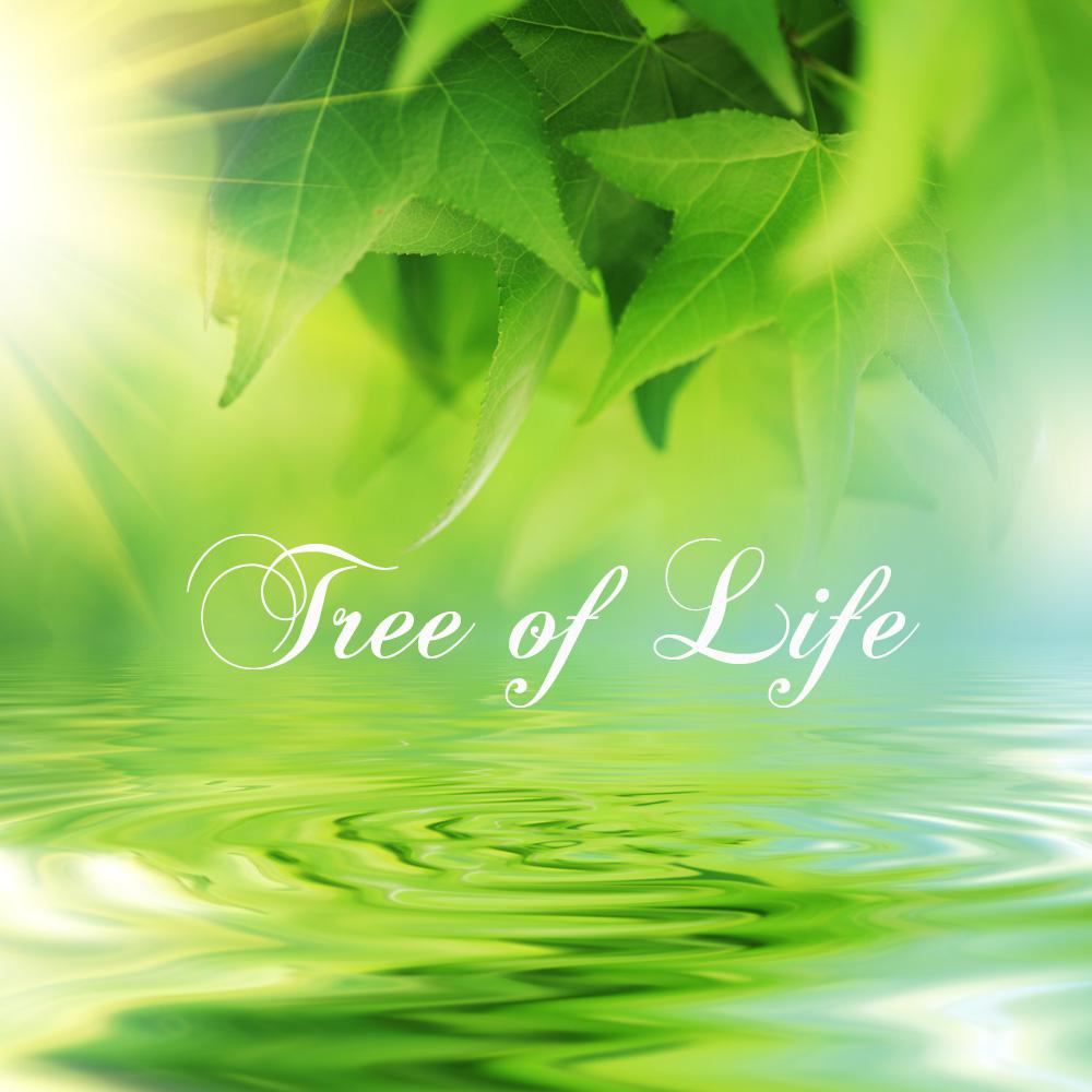 Tree of Life New Age Piano Music for a New Era