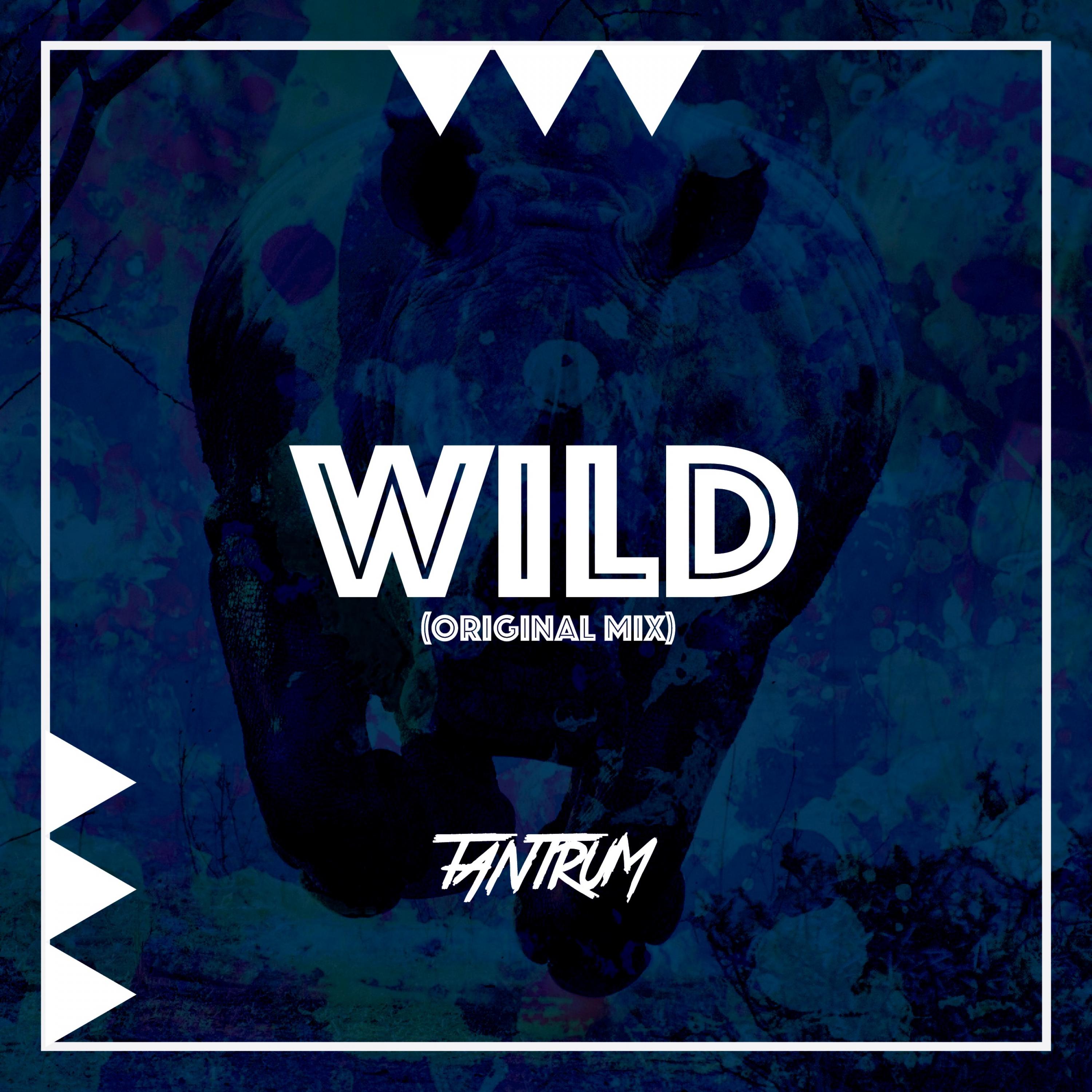 Wild - Single