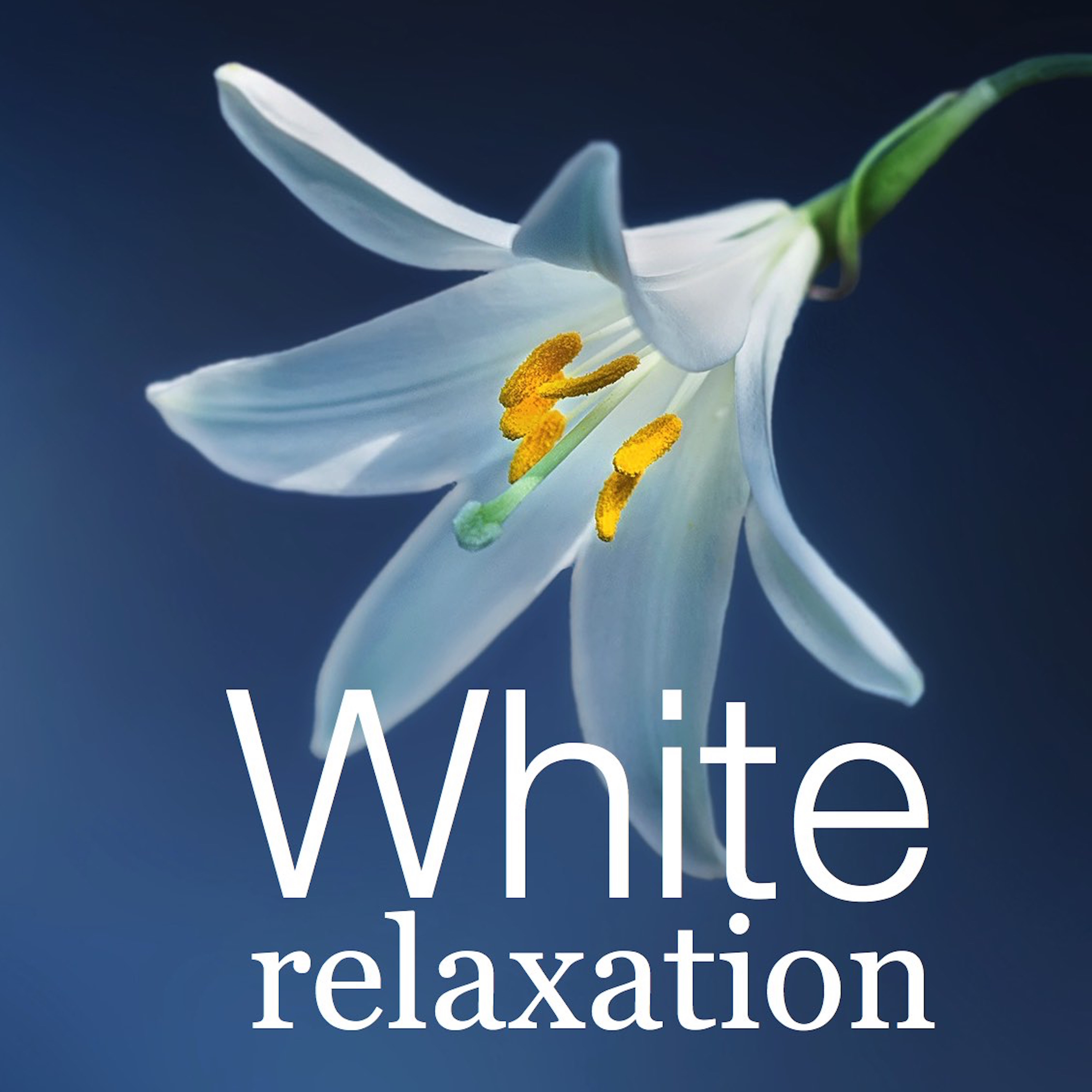 White Relaxation Calming Music