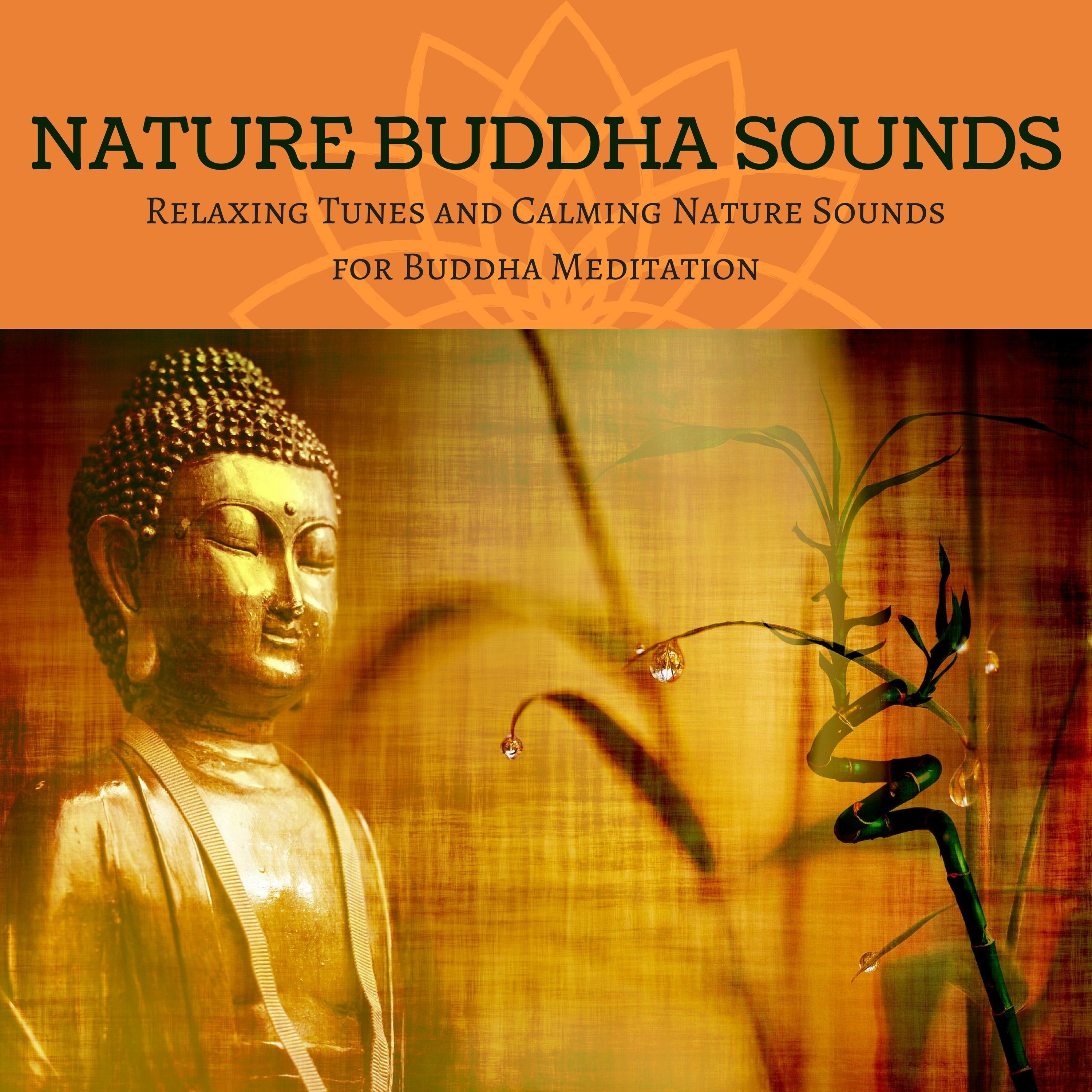 Tibetan Sounds