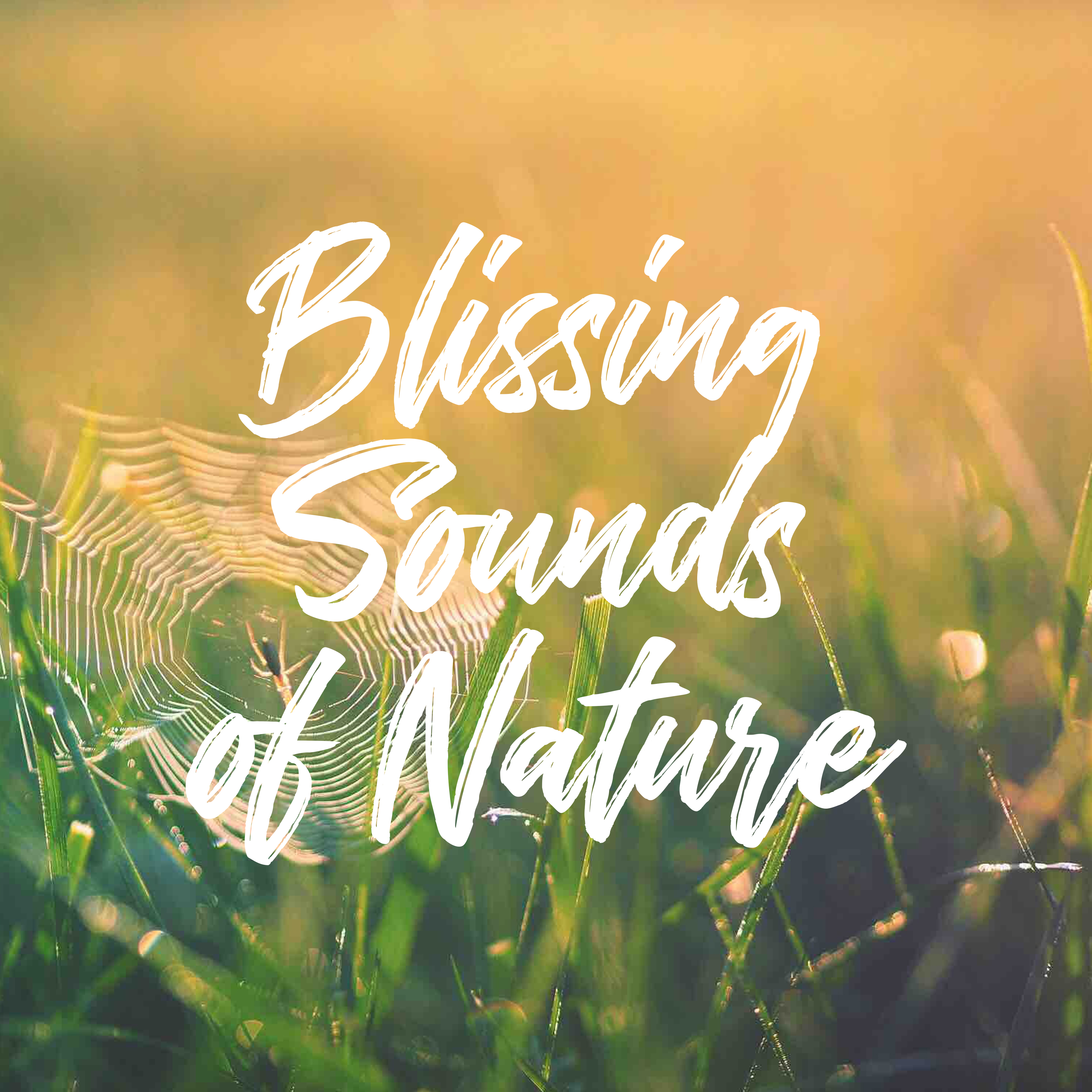 Blissing Sounds of Nature
