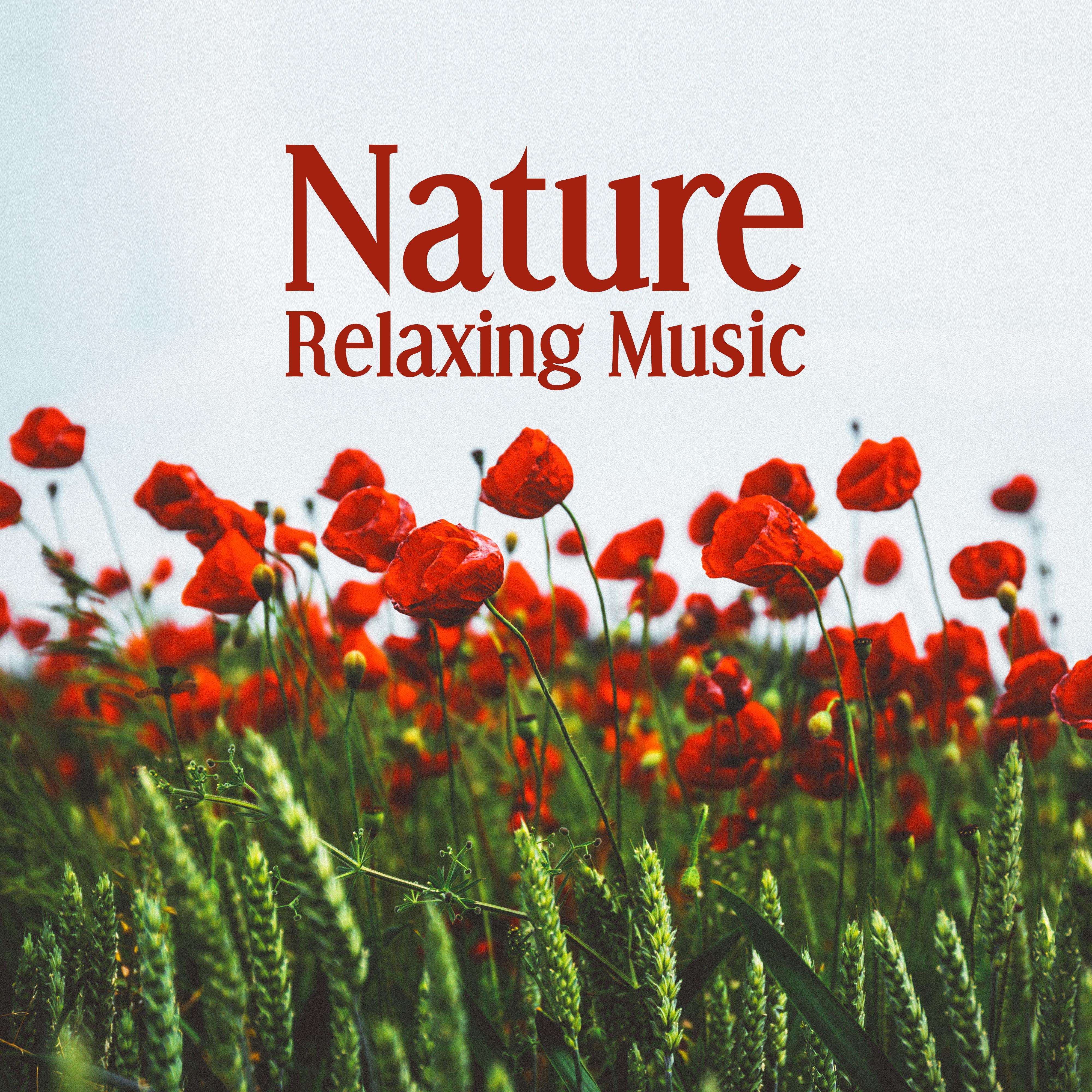 Nature Relaxing Music – Nature Sounds to Relax, Mind Rest with New Age Music, Sweet Memories