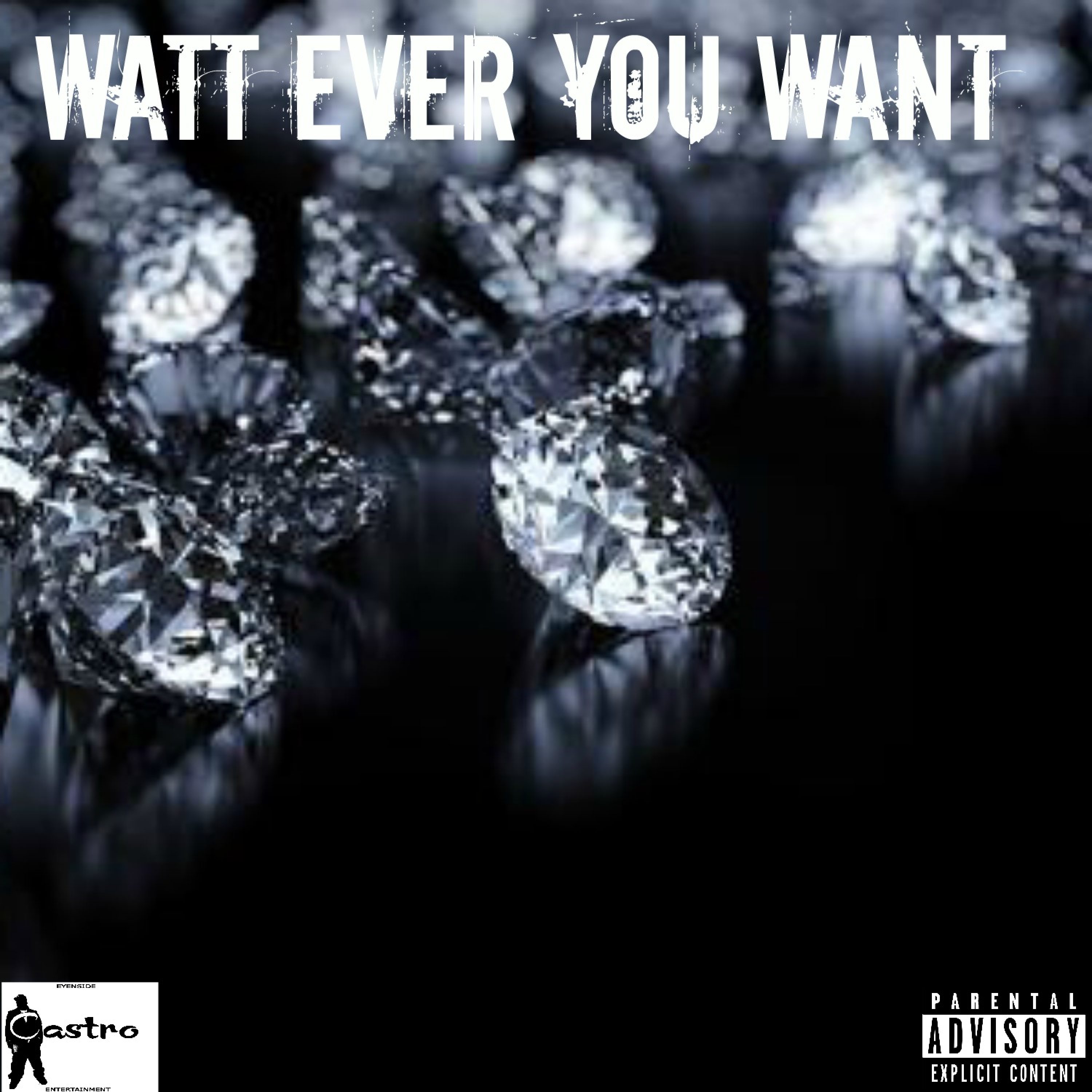 Watt Ever You Want (feat. Ghandi Quigs) - Single