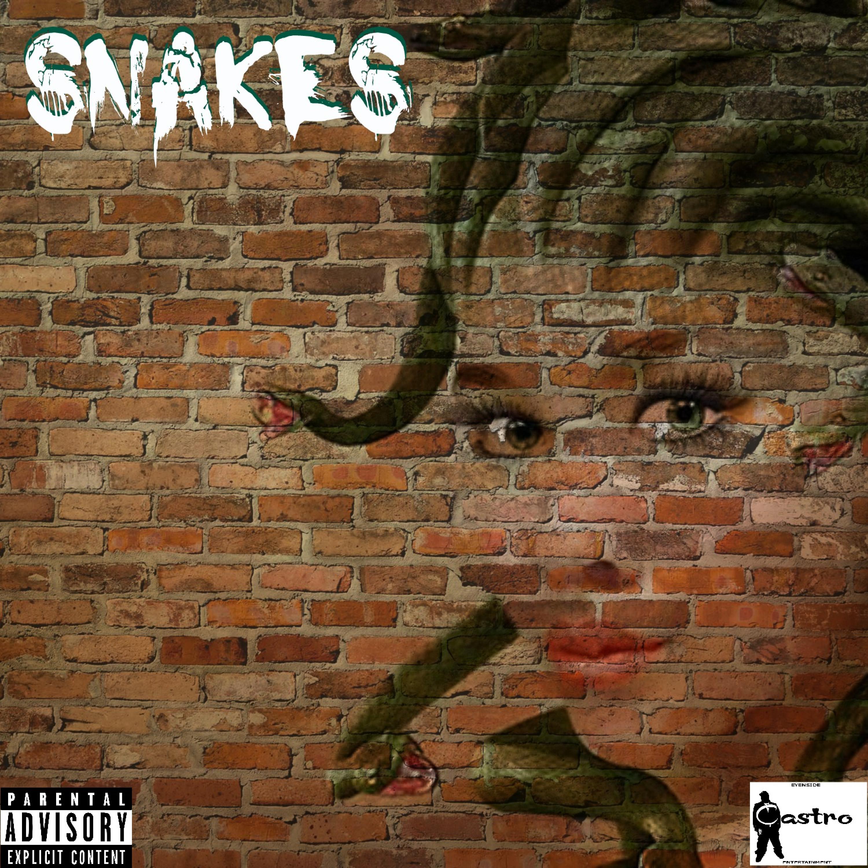 Snakes (feat. Nucklez Castro & Jay Rocc) - Single