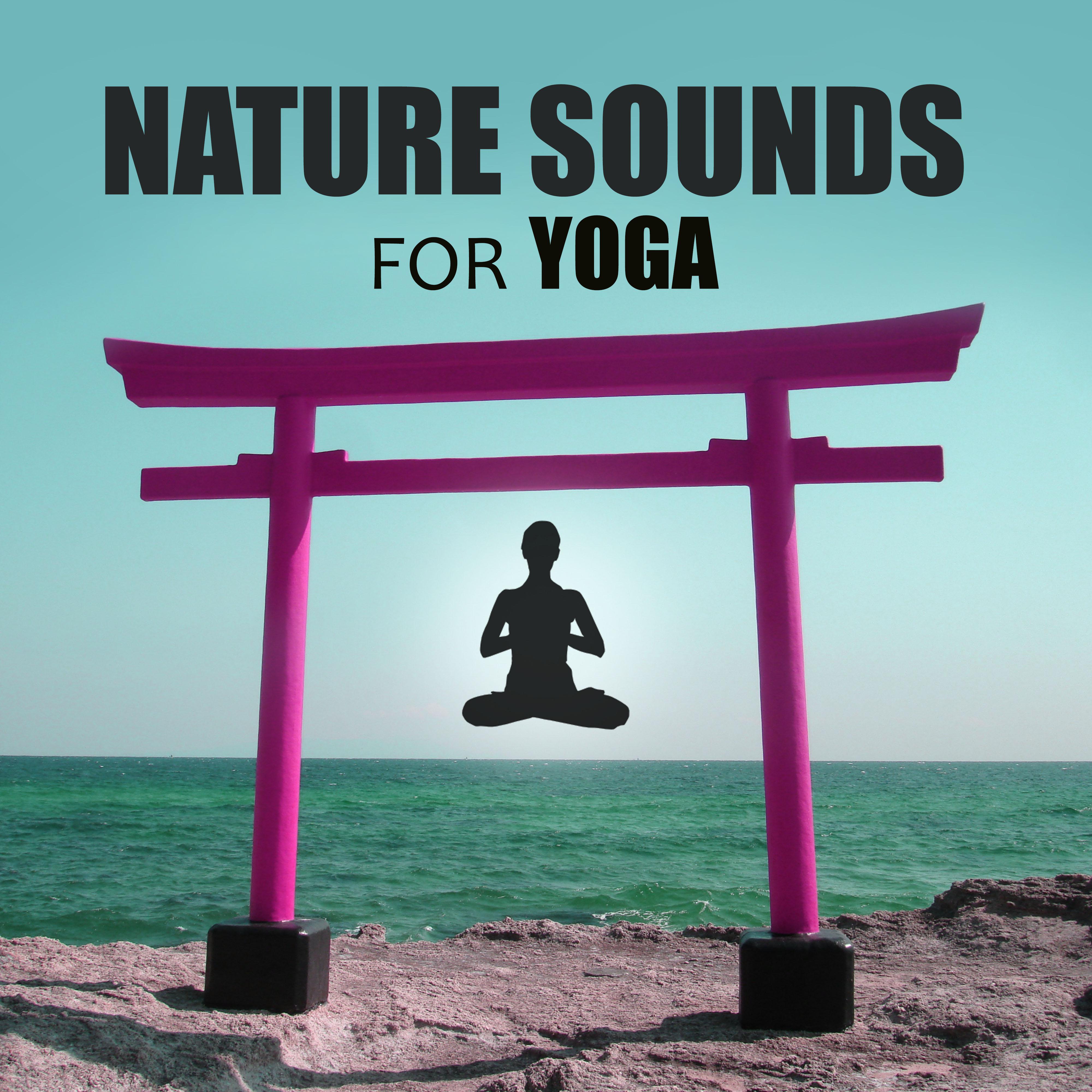 Nature Sounds for Yoga -  Best New Age Music for Meditation & Yoga Excercises, Reiki Music with Nature Sounds,  Deep Relax Therapy