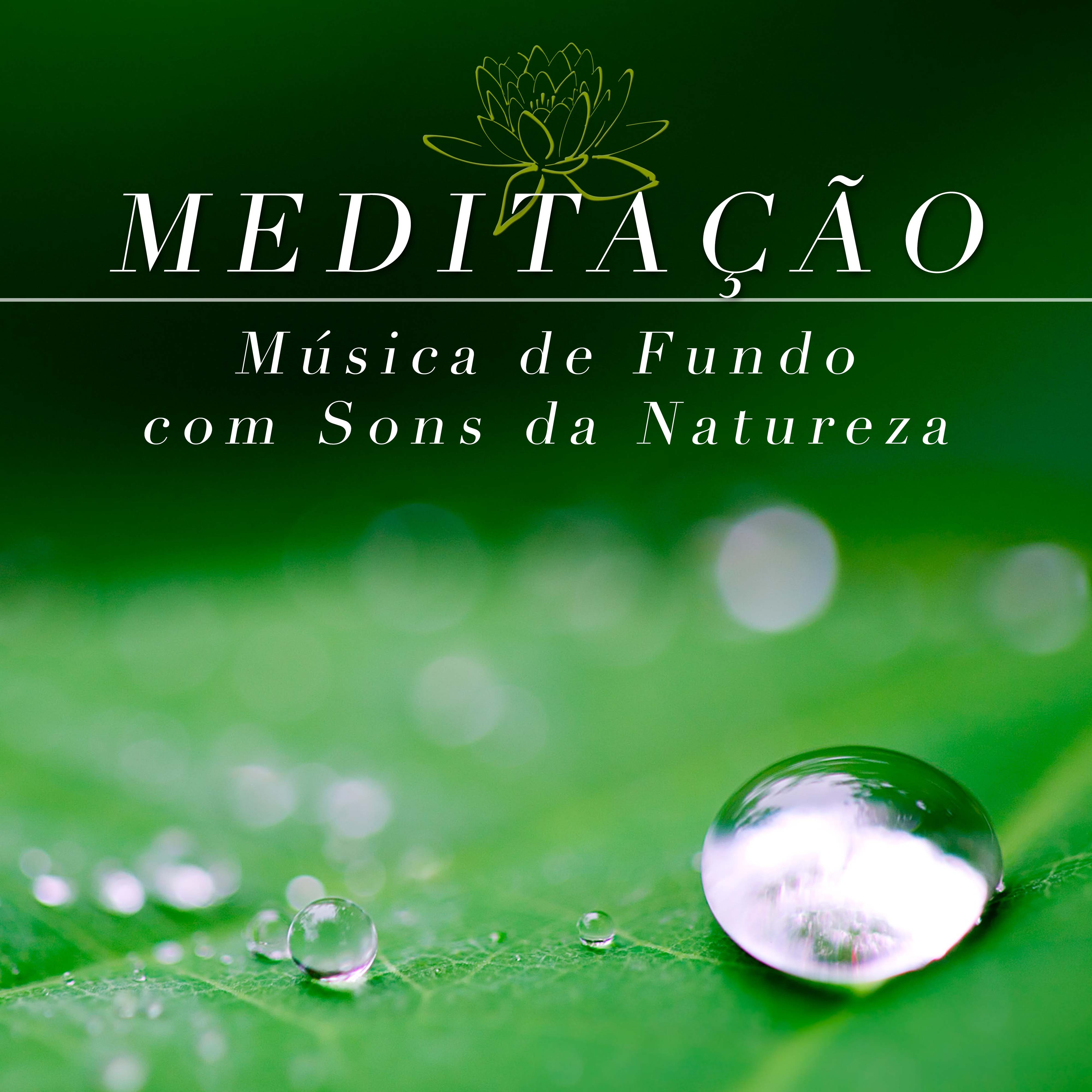 Meditação - Música de  Fundo com Sons da Natureza