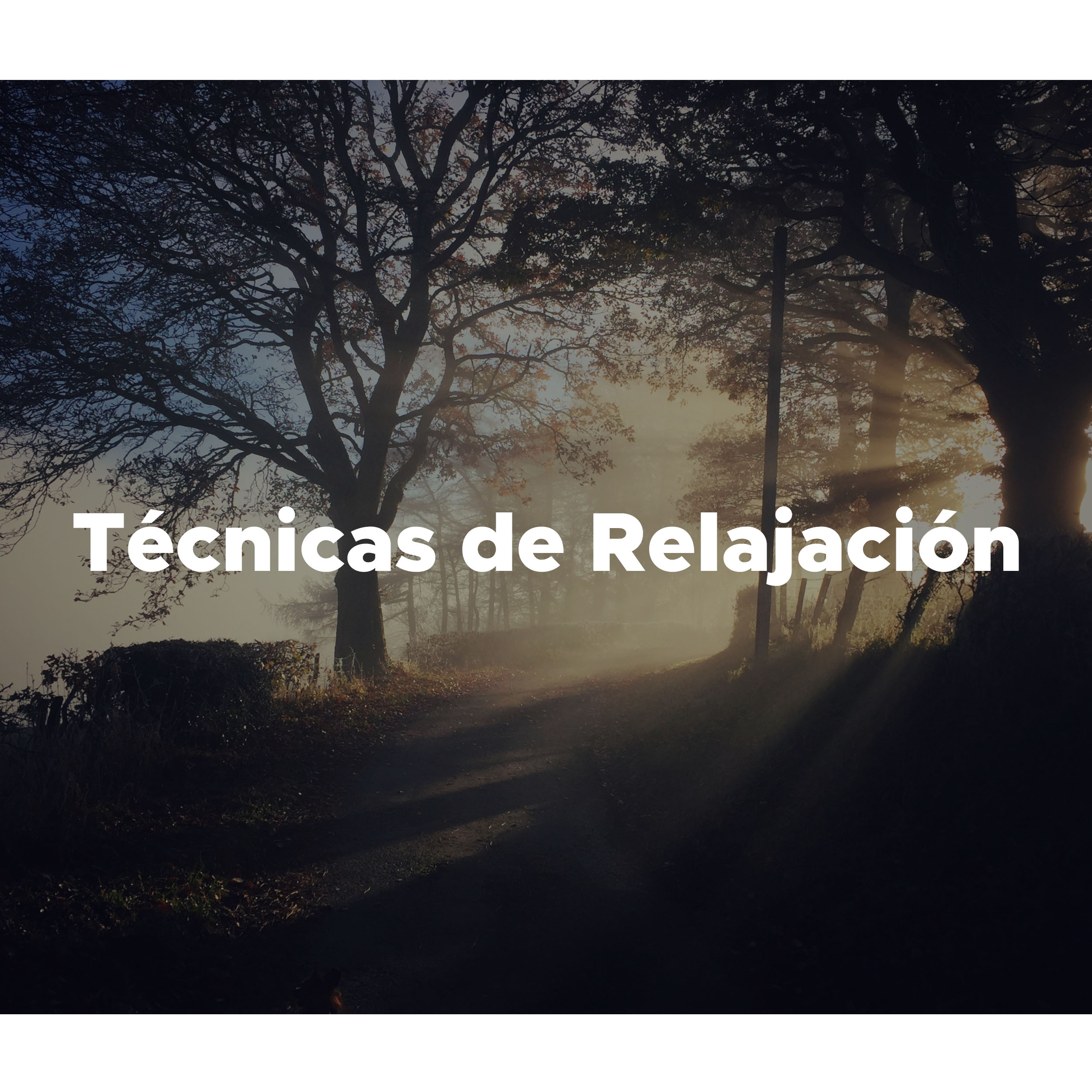 Tecnicas de Relajacion - Música para conciliar el Sueño