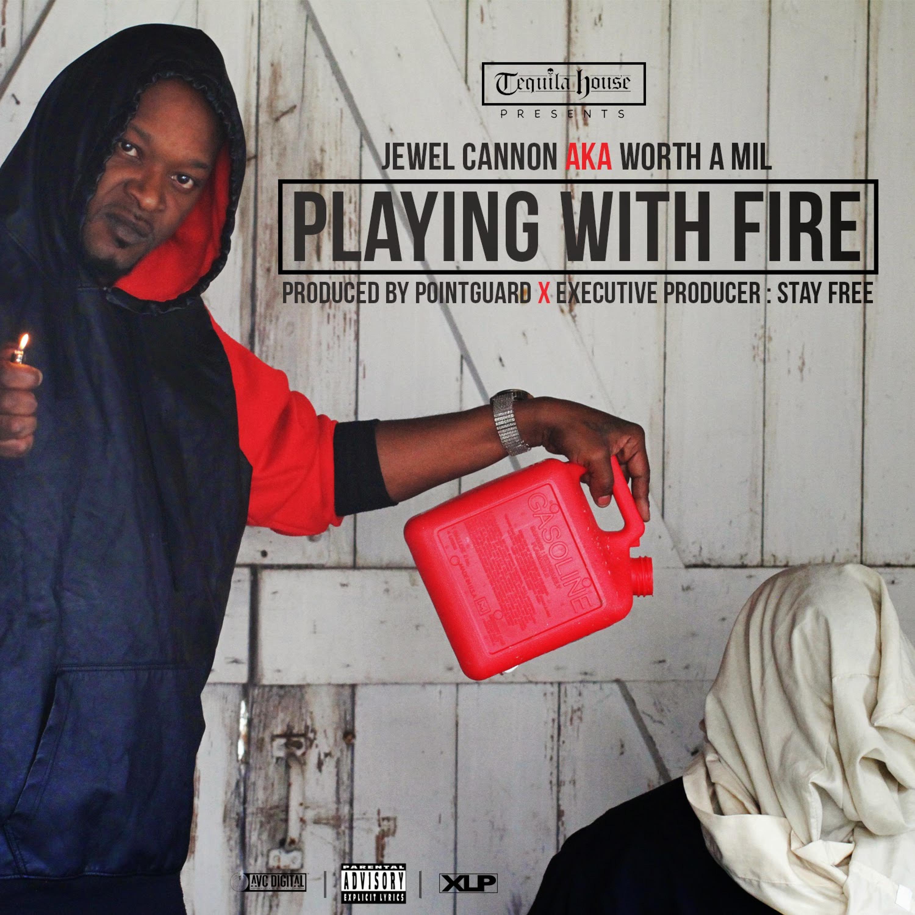 Playing with Fire - Single