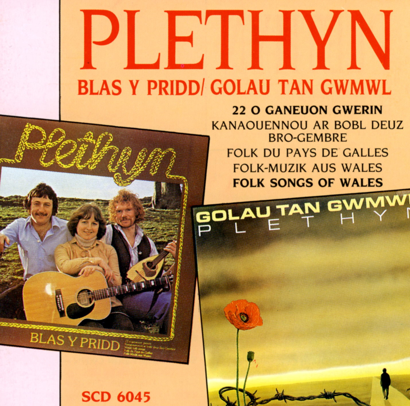 Y Deryn Du A'I Blufyn Sidan