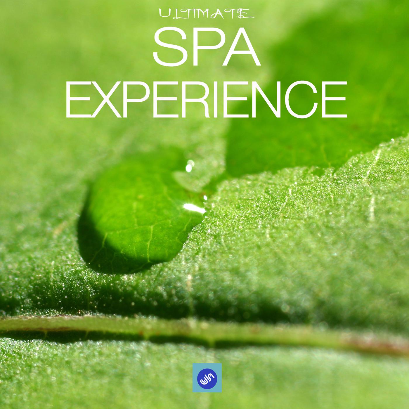 Spa Experience