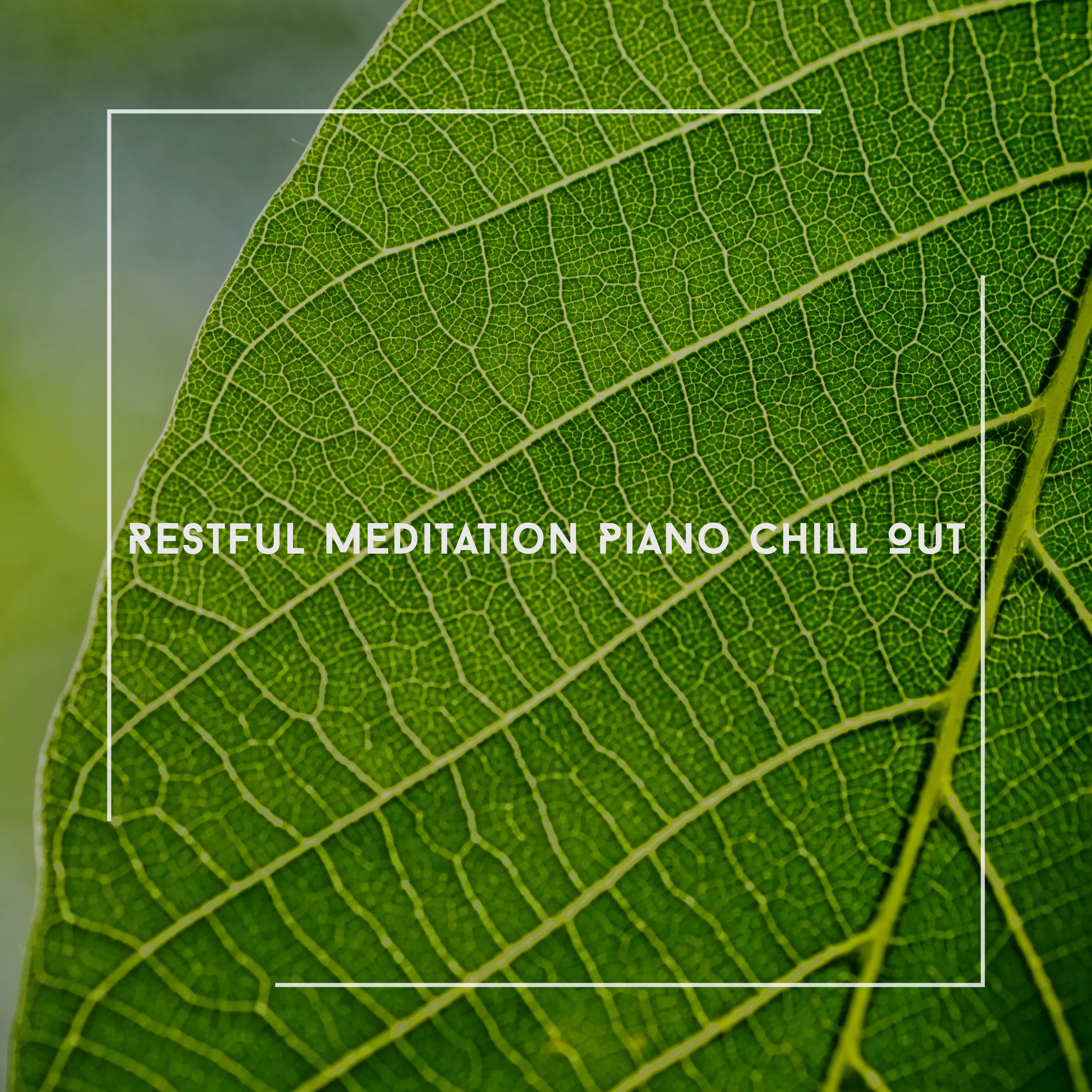 Restful Meditation Piano Chill Out