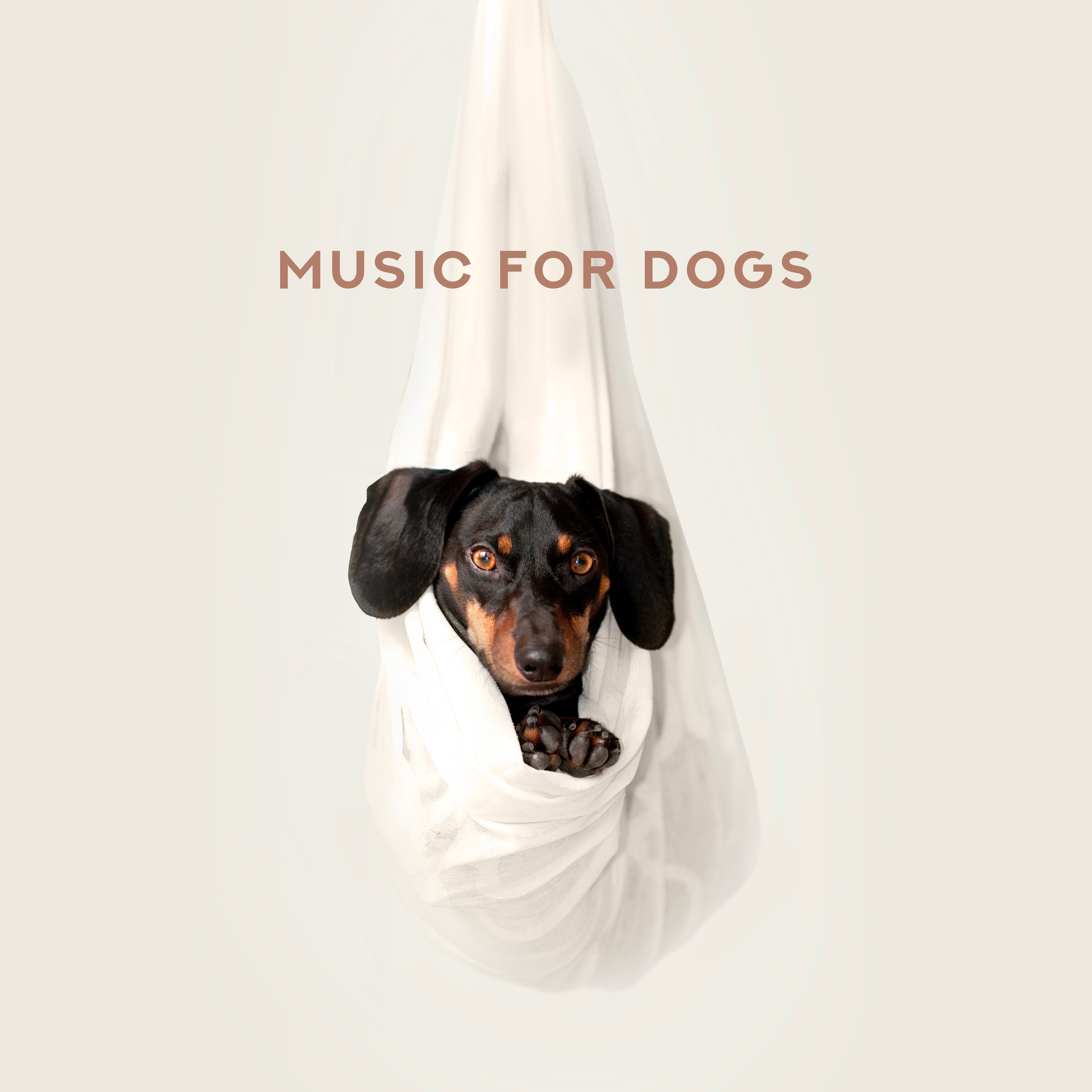 Music for Dogs – Relaxing Sounds for Pets, Spa Therapy, Anti Stress Music, Pet Relaxation, Relaxing Dog Melodies