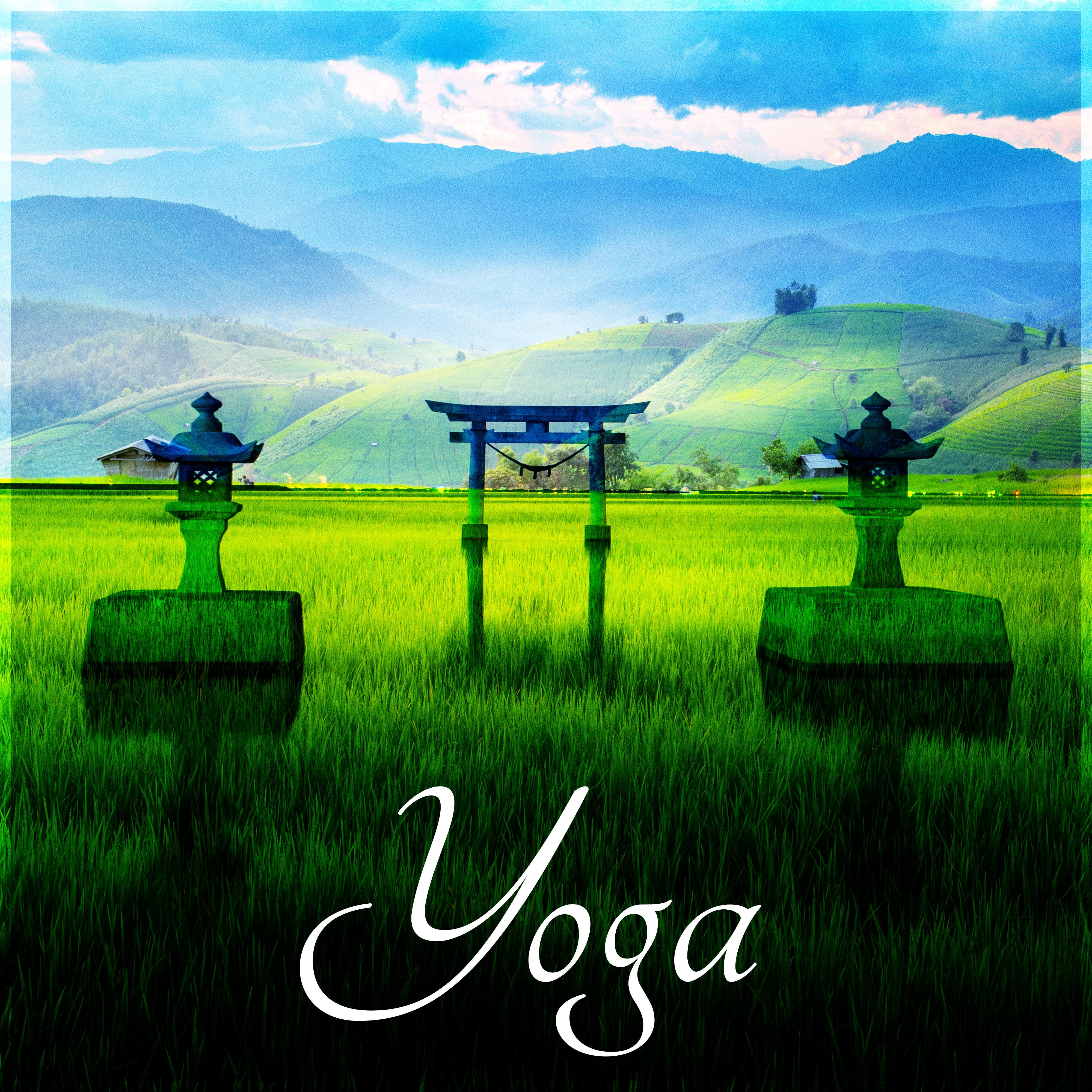 Yoga – Healing Reiki Music, Mindfulness Meditation, Calming Music, Peaceful Music