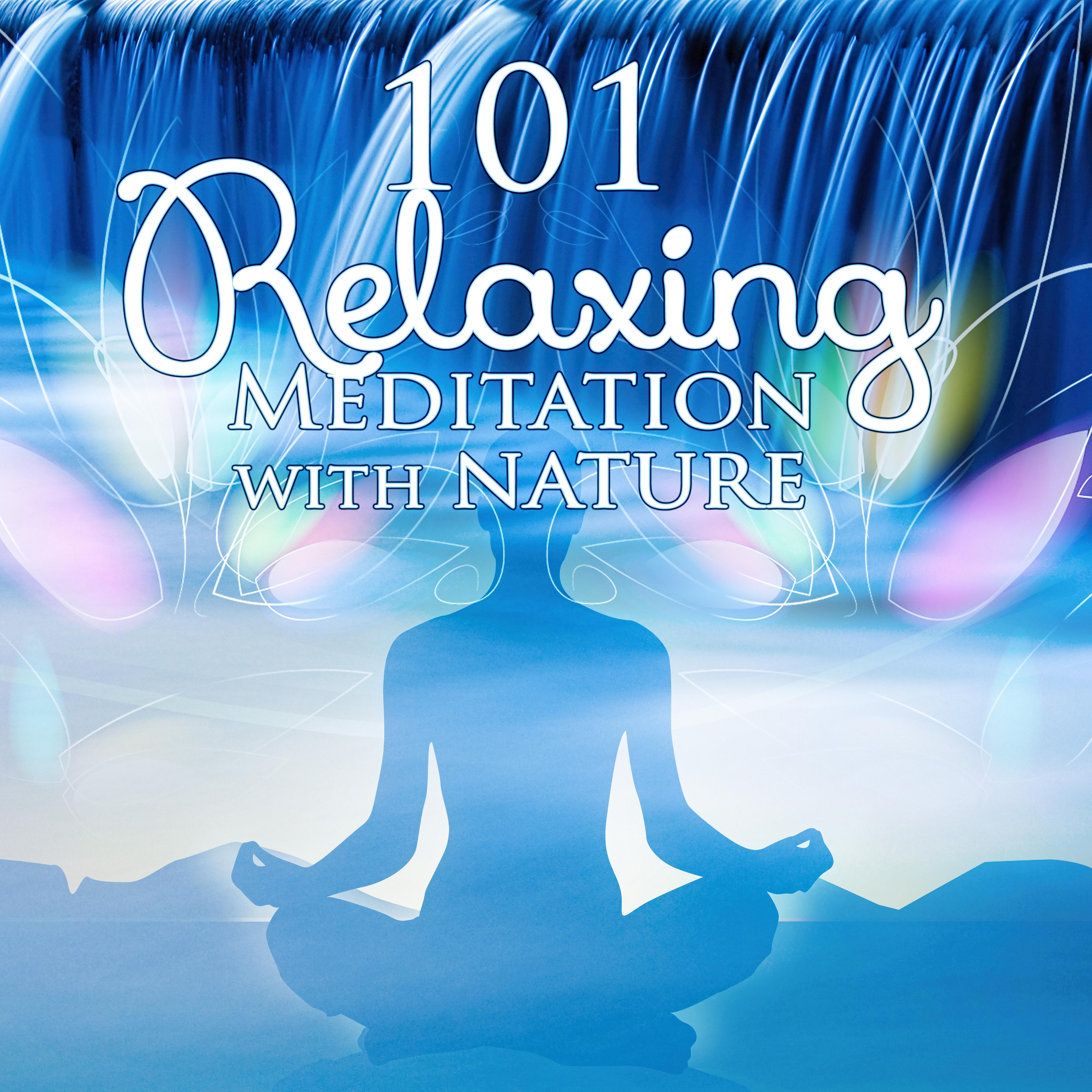 101 Relaxing Meditation with Nature – Zen Tracks, Asian Music, Healing Spirituality, Nature Sounds, Yoga, Spa, Soothe Music Therapy