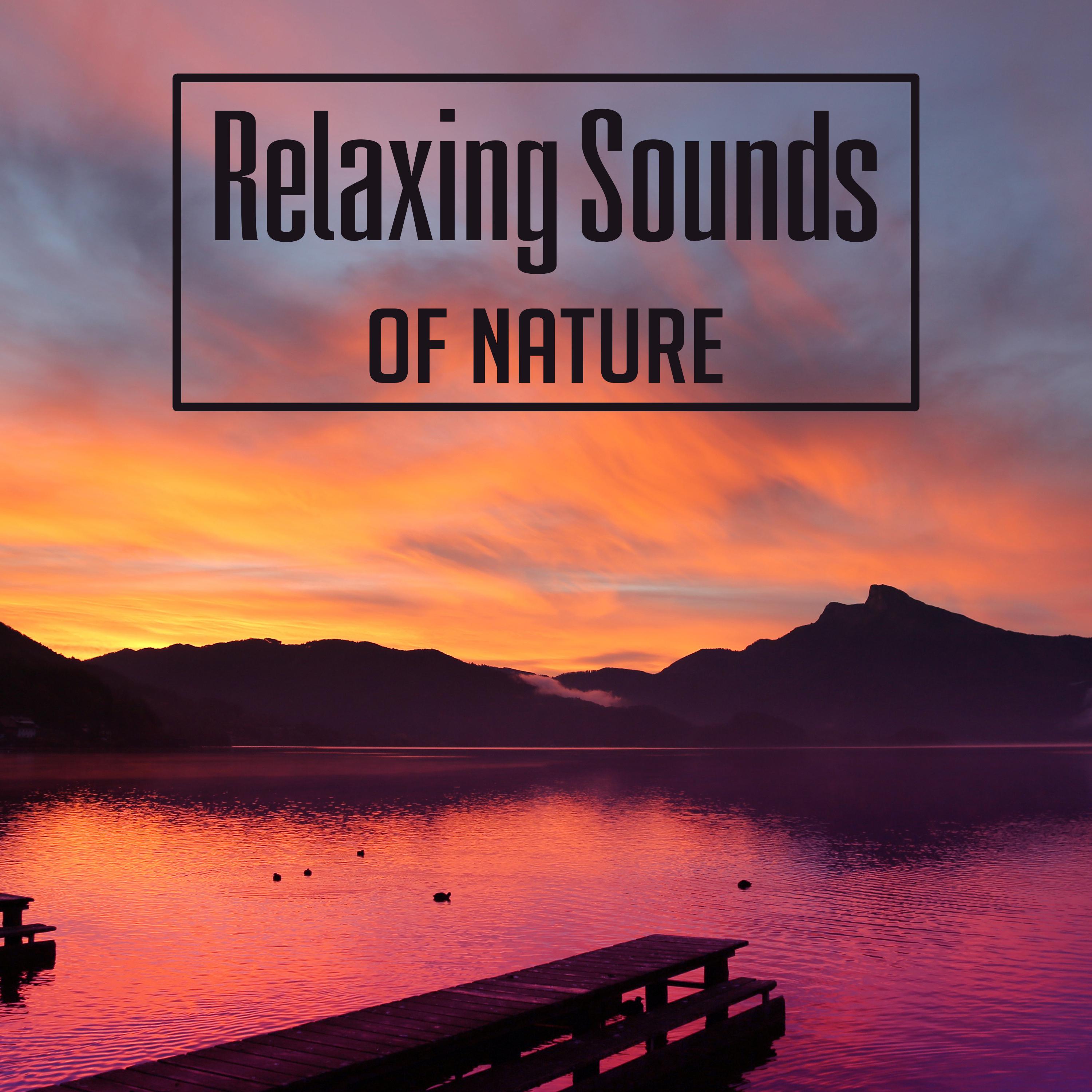 Relaxing Sounds of Nature – Soothing Sounds, New Age Relaxation, Mind Calmness, Chill Yourself