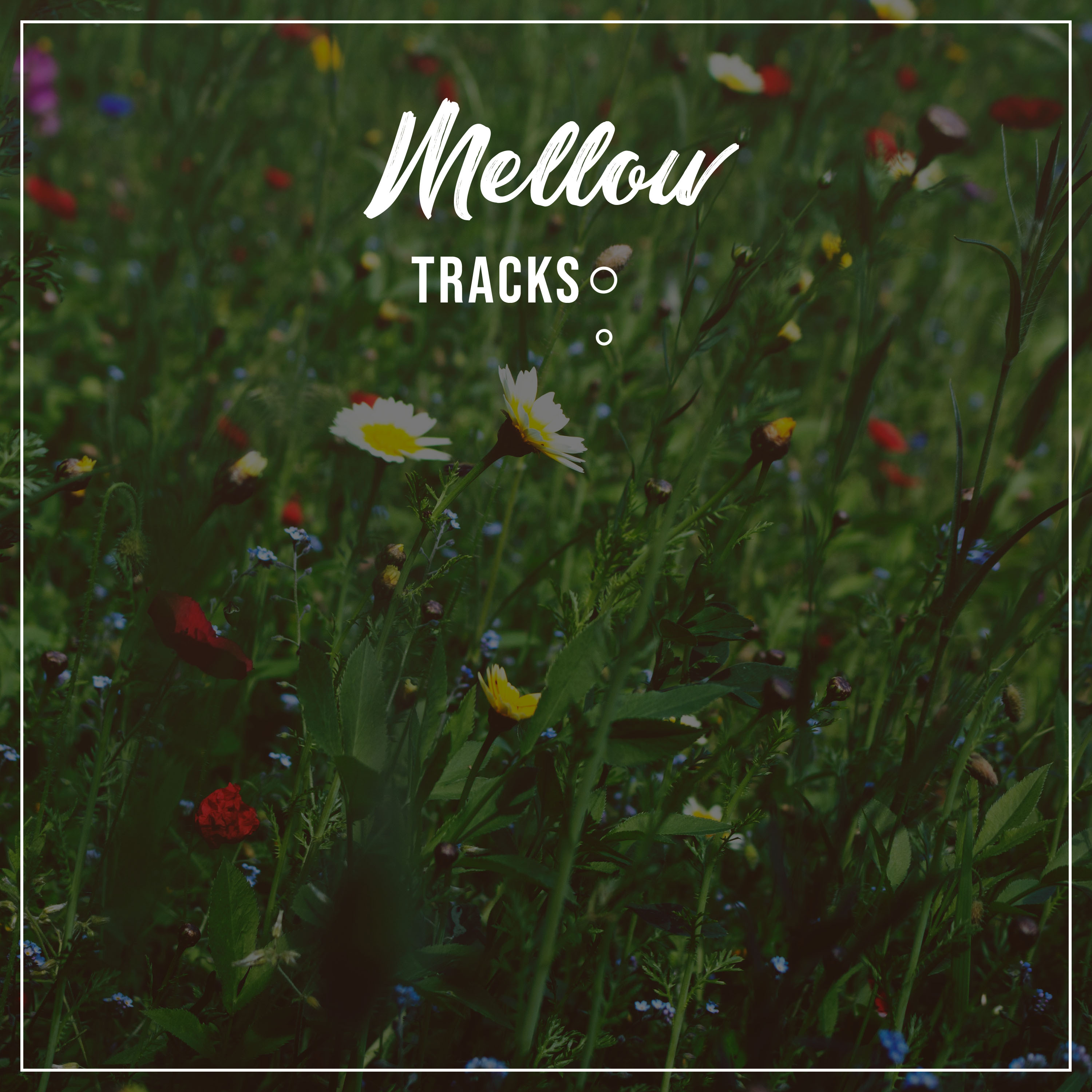 #10 Mellow Tracks for Deep Sleep Relaxation