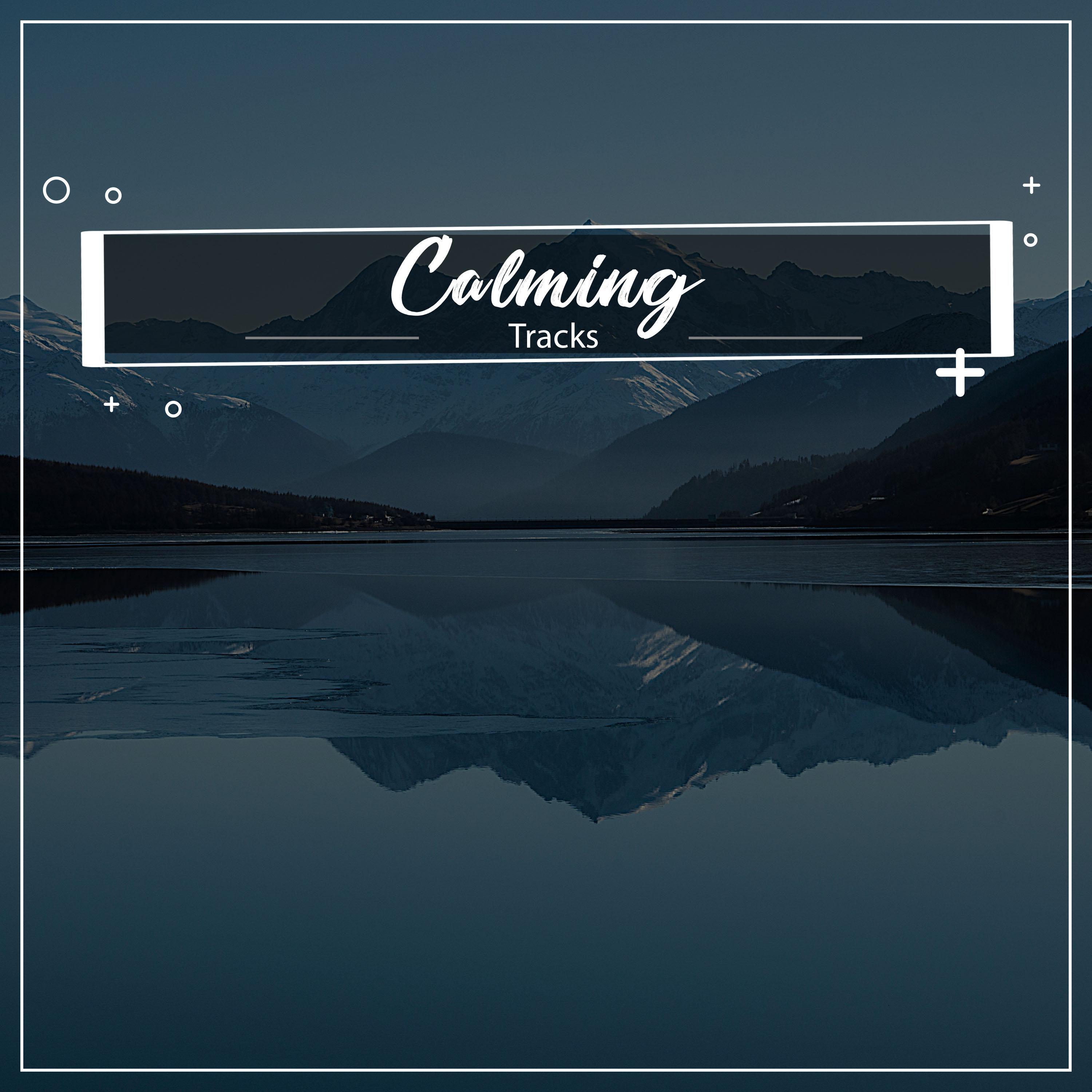 #20 Calming Tracks for Stress Relieving Meditation
