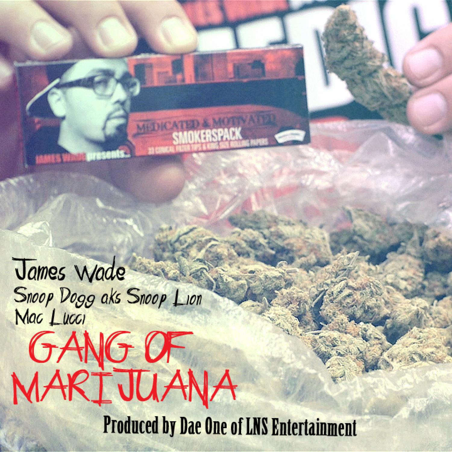 Gang Of Marijuana (feat. Mac Lucci) - Single
