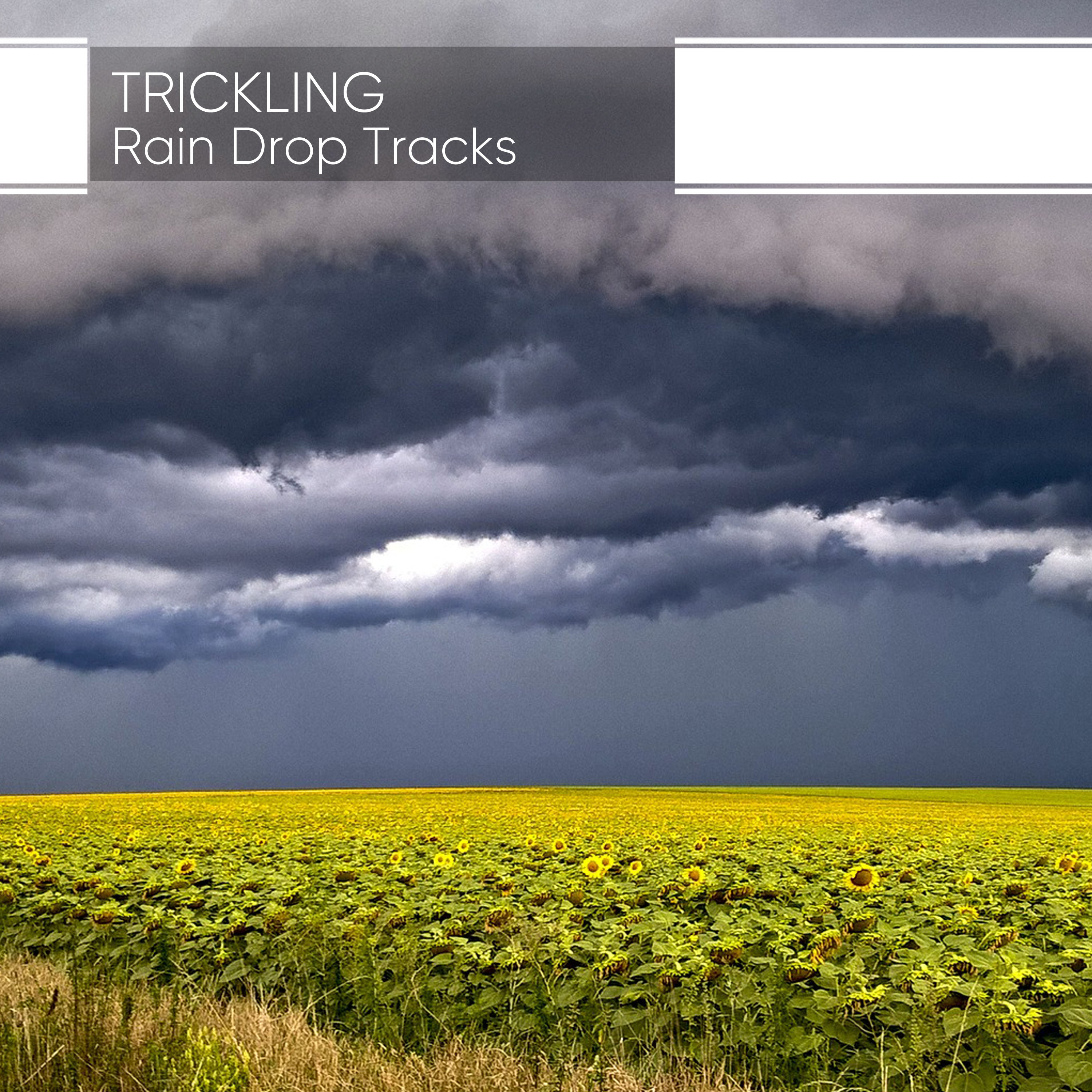 Trickling Rain Drop Tracks