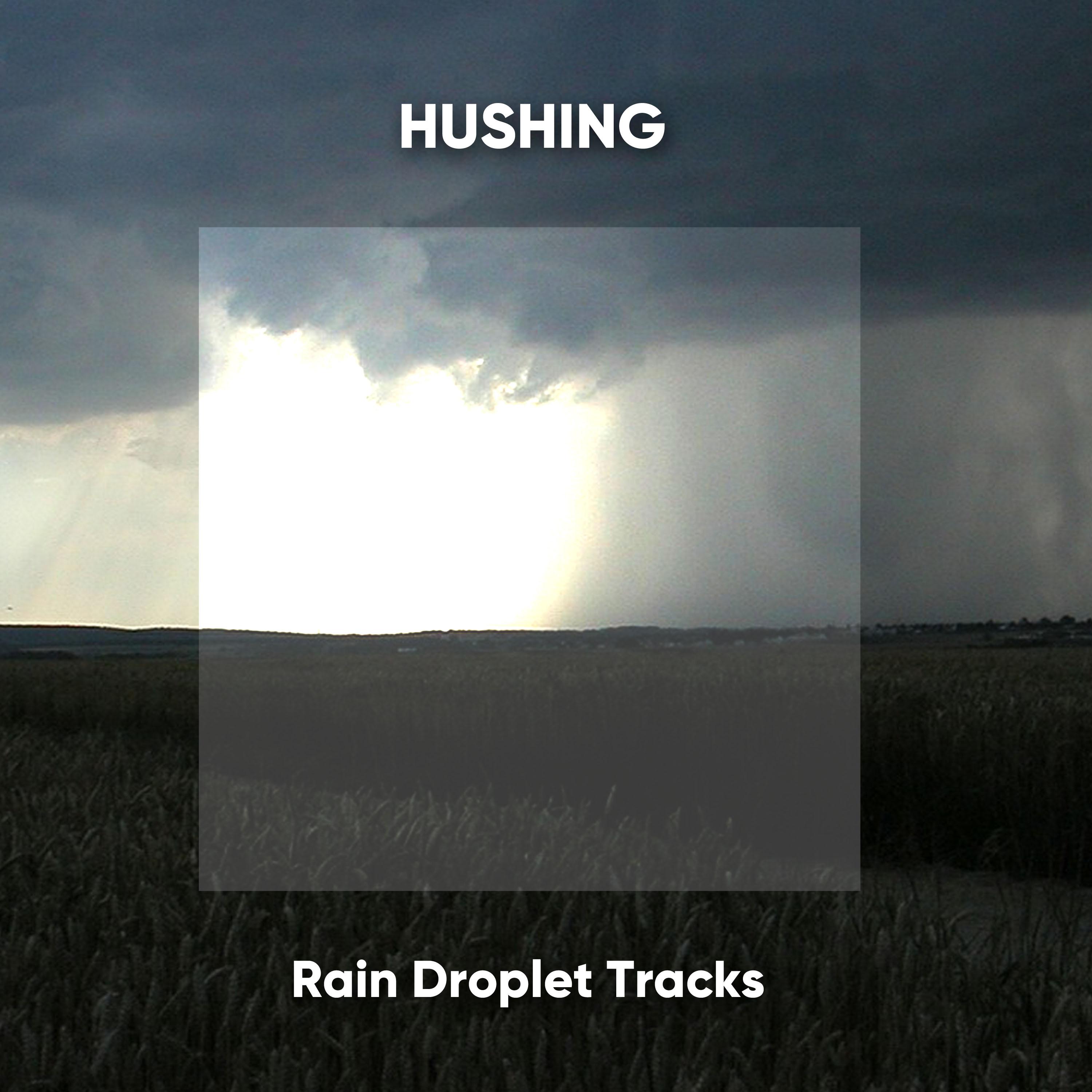 Hushing Rain Droplet Tracks