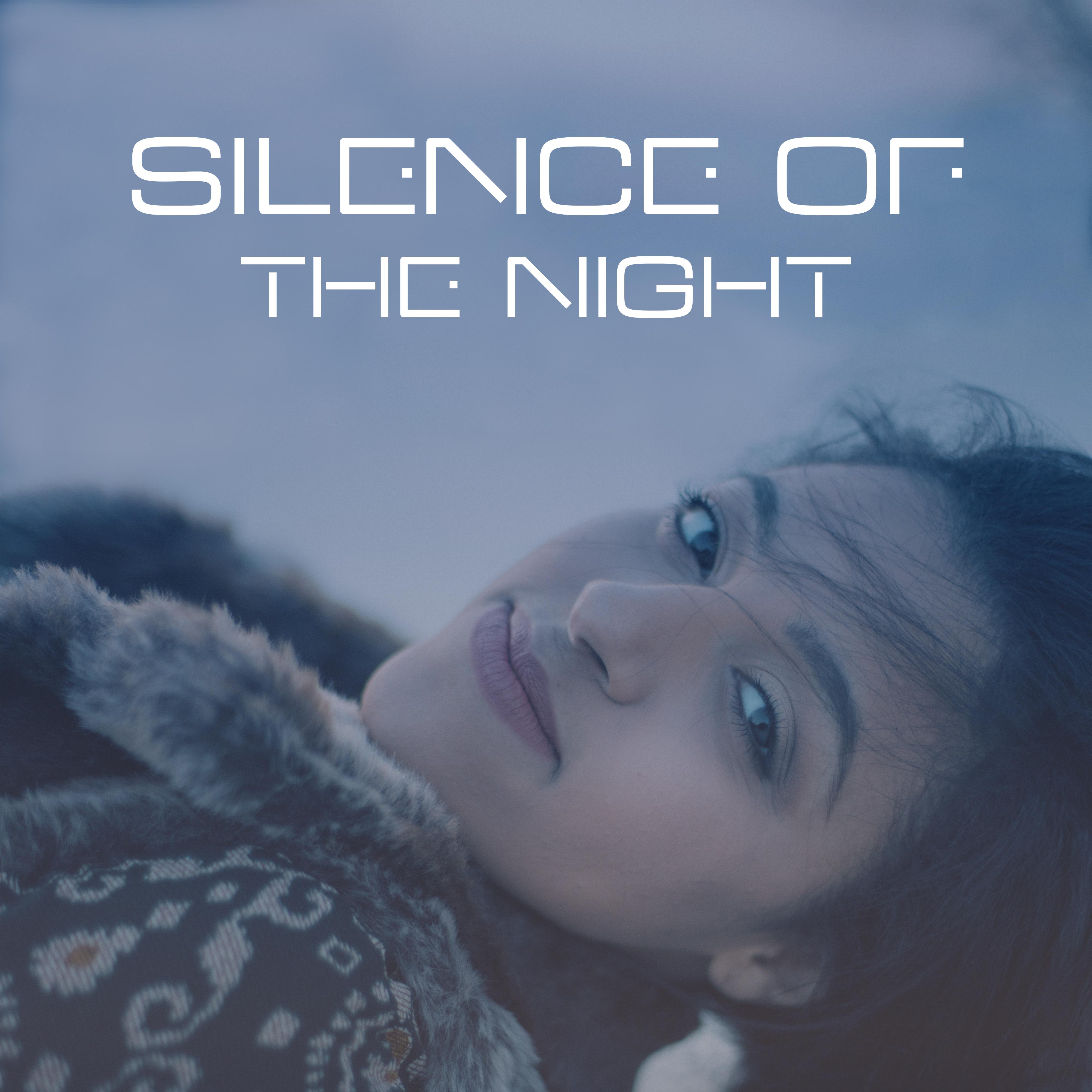 Silence of the Night - Soft Pillow, Warm Blanket, Relaxing Time, Nice Well-Being