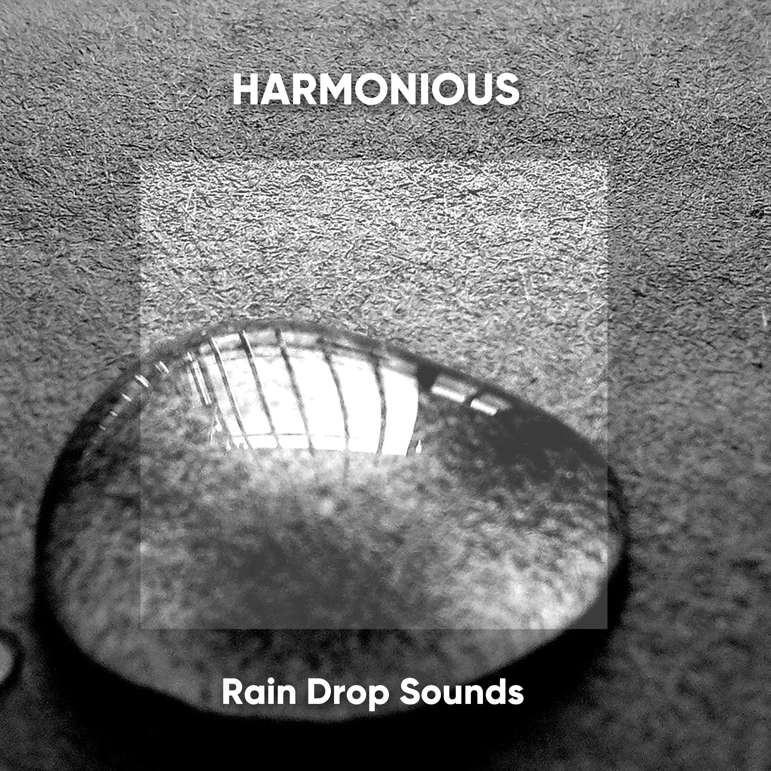 Harmonious Rain Drop Sounds