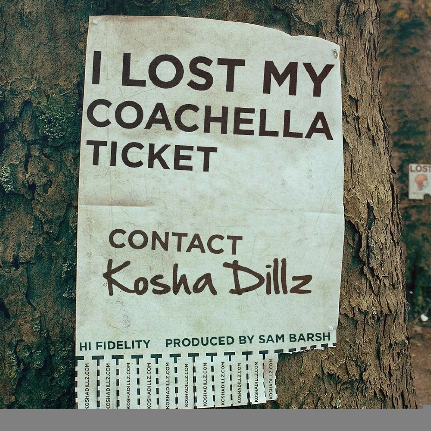 I Lost My Coachella Ticket - Single