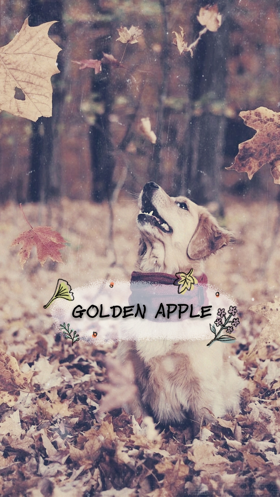 GOLDEN APPLE