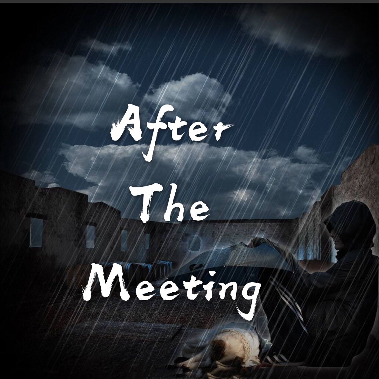 迪仔 会笑的黑猫_ - After the meeting