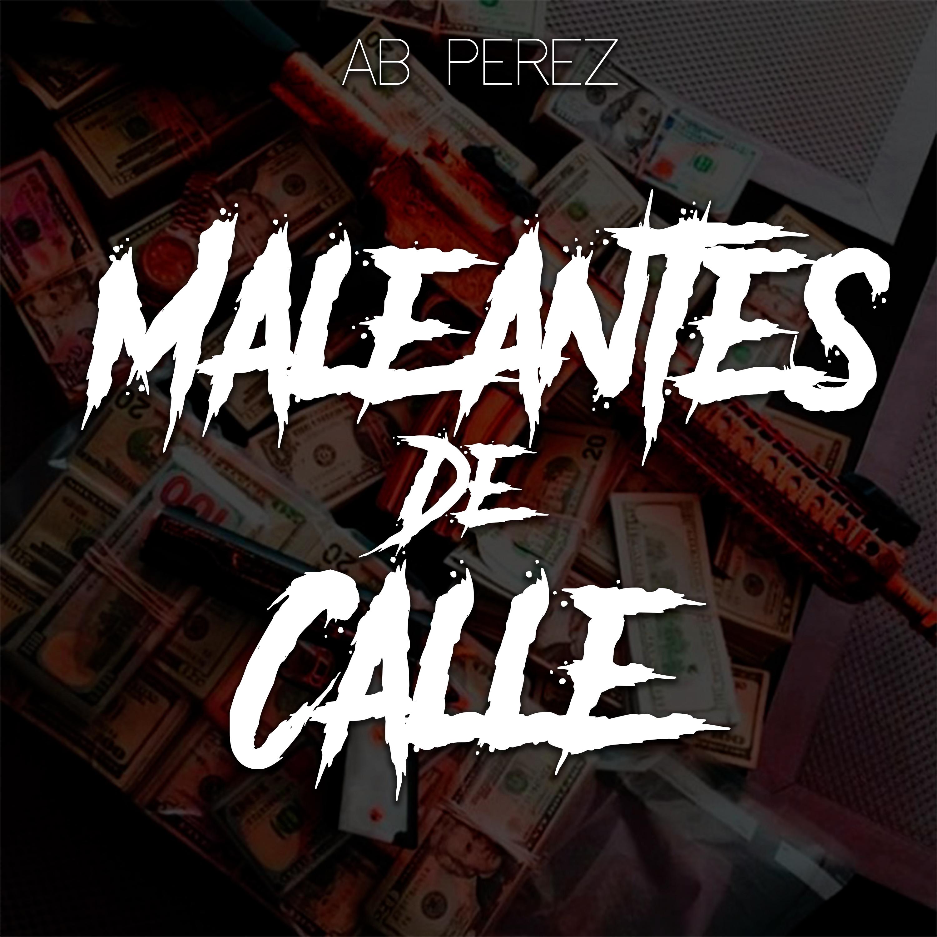 Maleantes de Calle