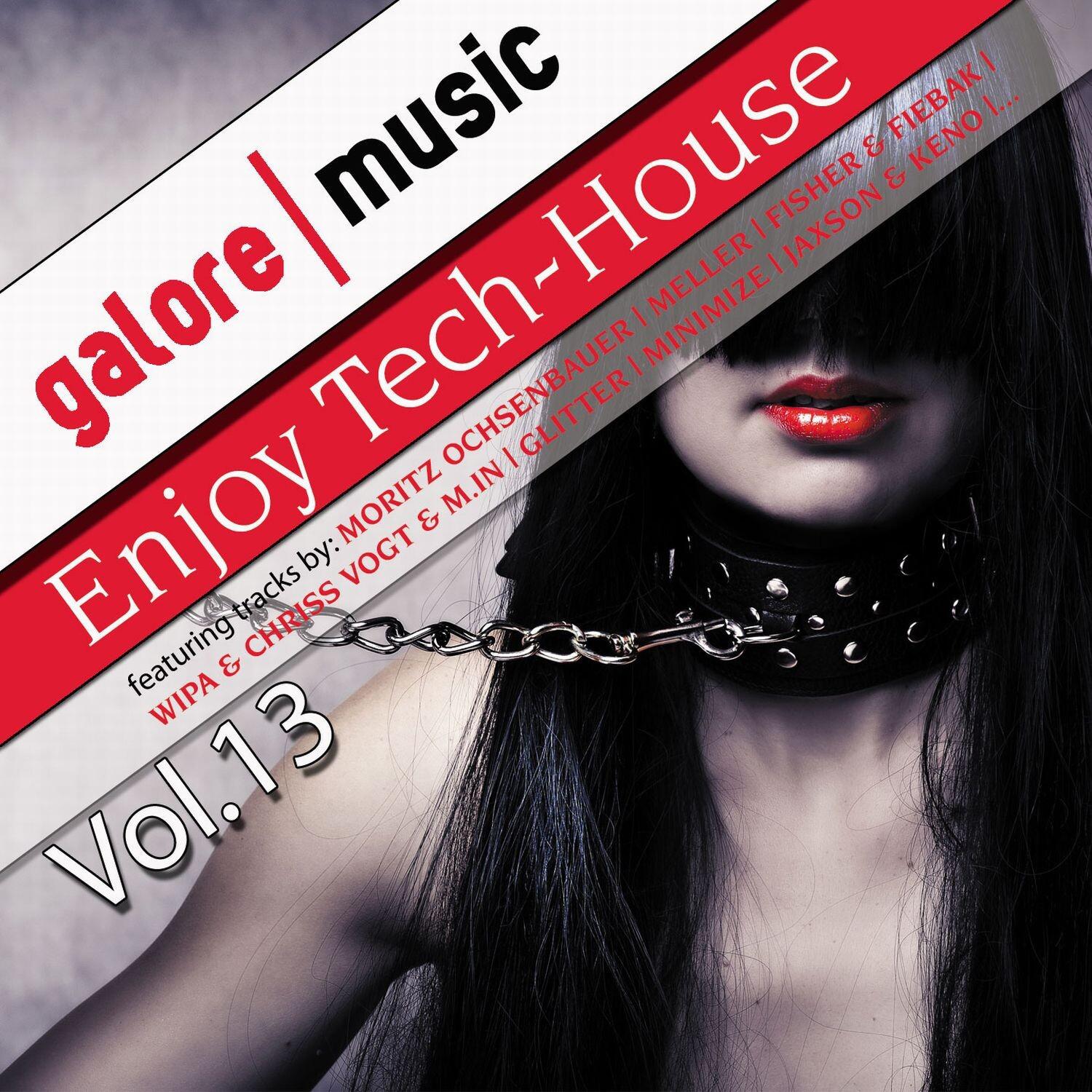 Enjoy Tech House, Vol. 13