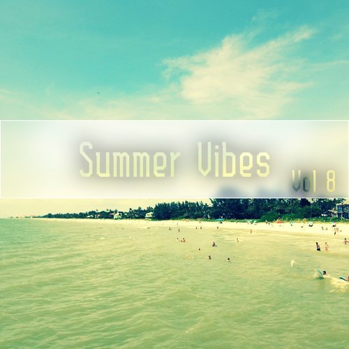 "Summer Vibes,Vol.8"