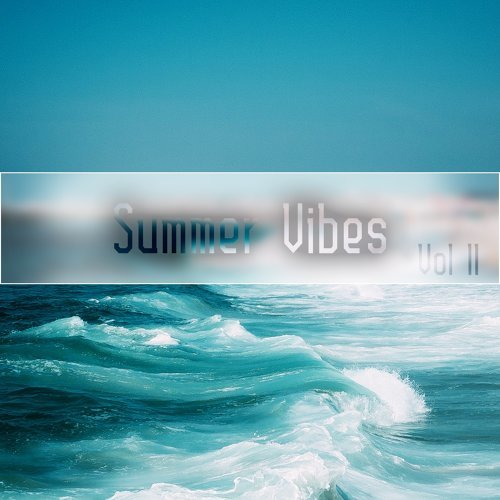 "Summer Vibes,Vol.11"